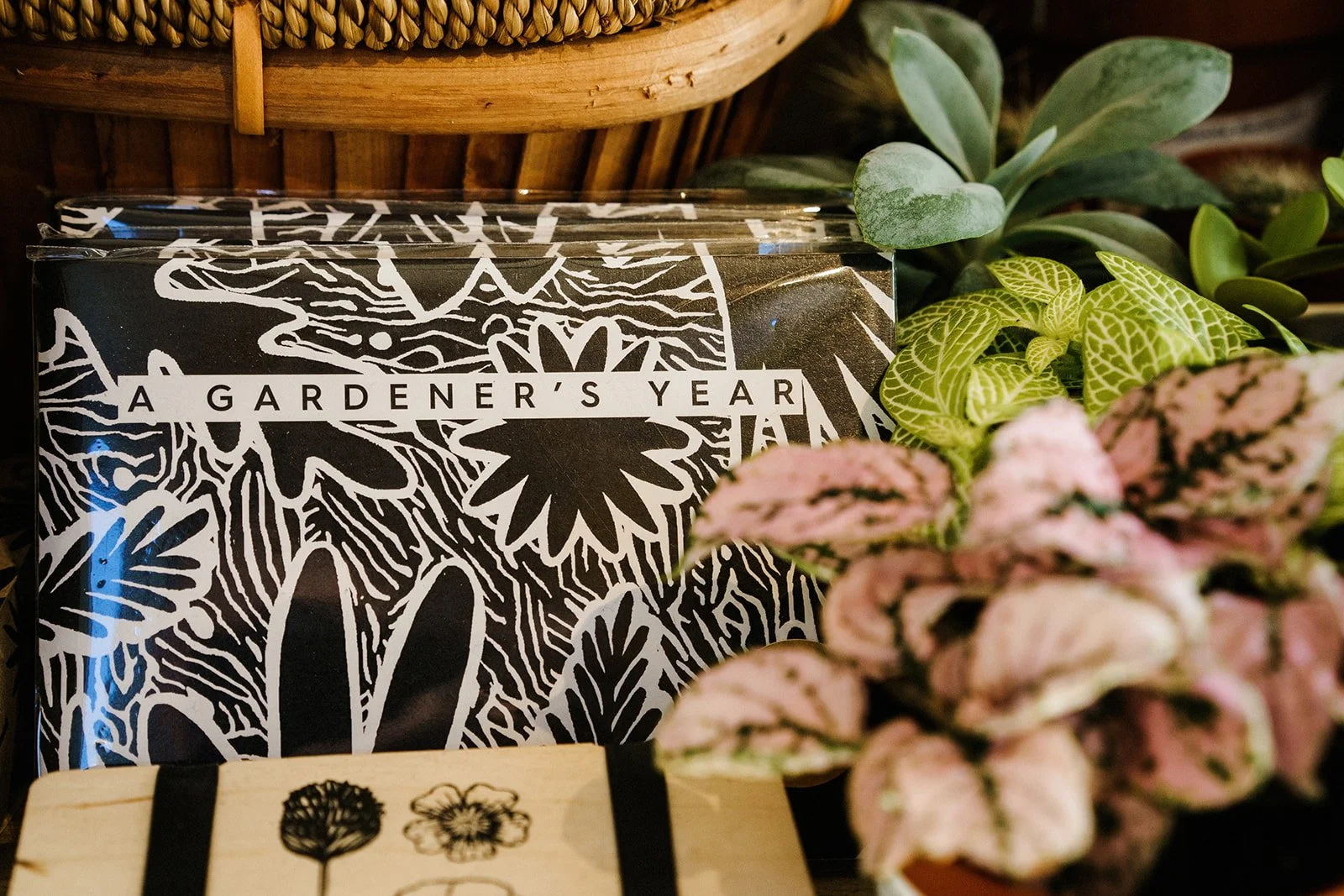 Suffolk Jungle-13_websize.jpg