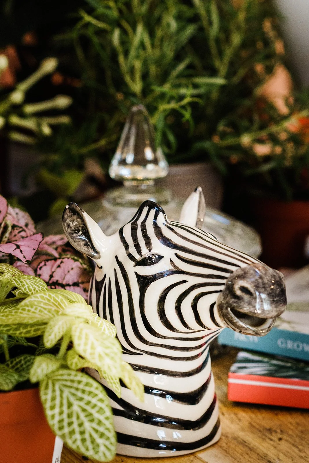 Suffolk Jungle-15_websize.jpg