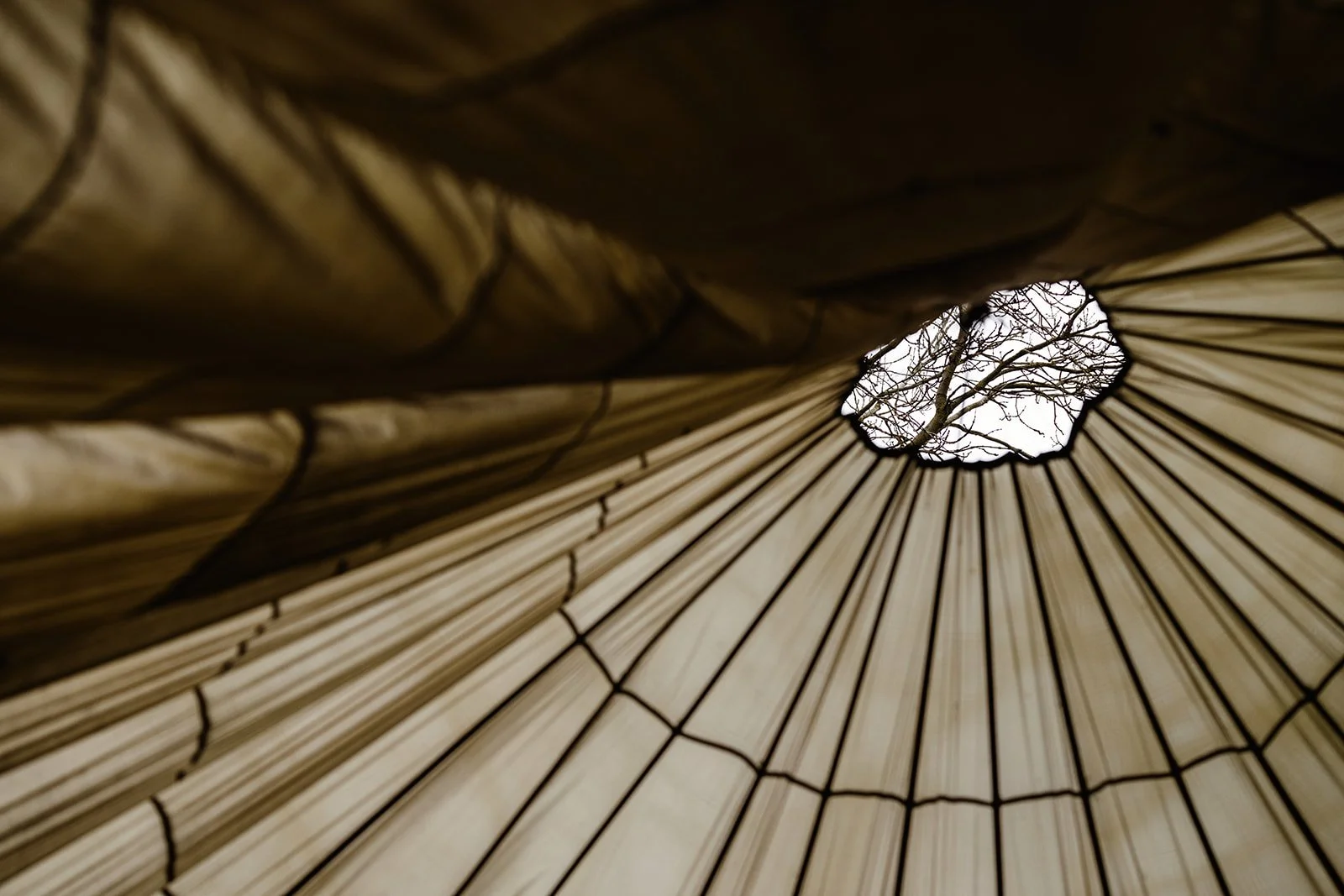 Green Light Trust - April 2024212.jpg