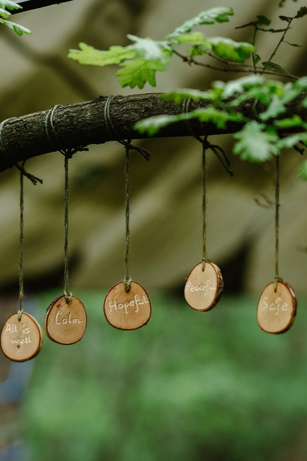 Green Light Trust - April 2024214.jpg