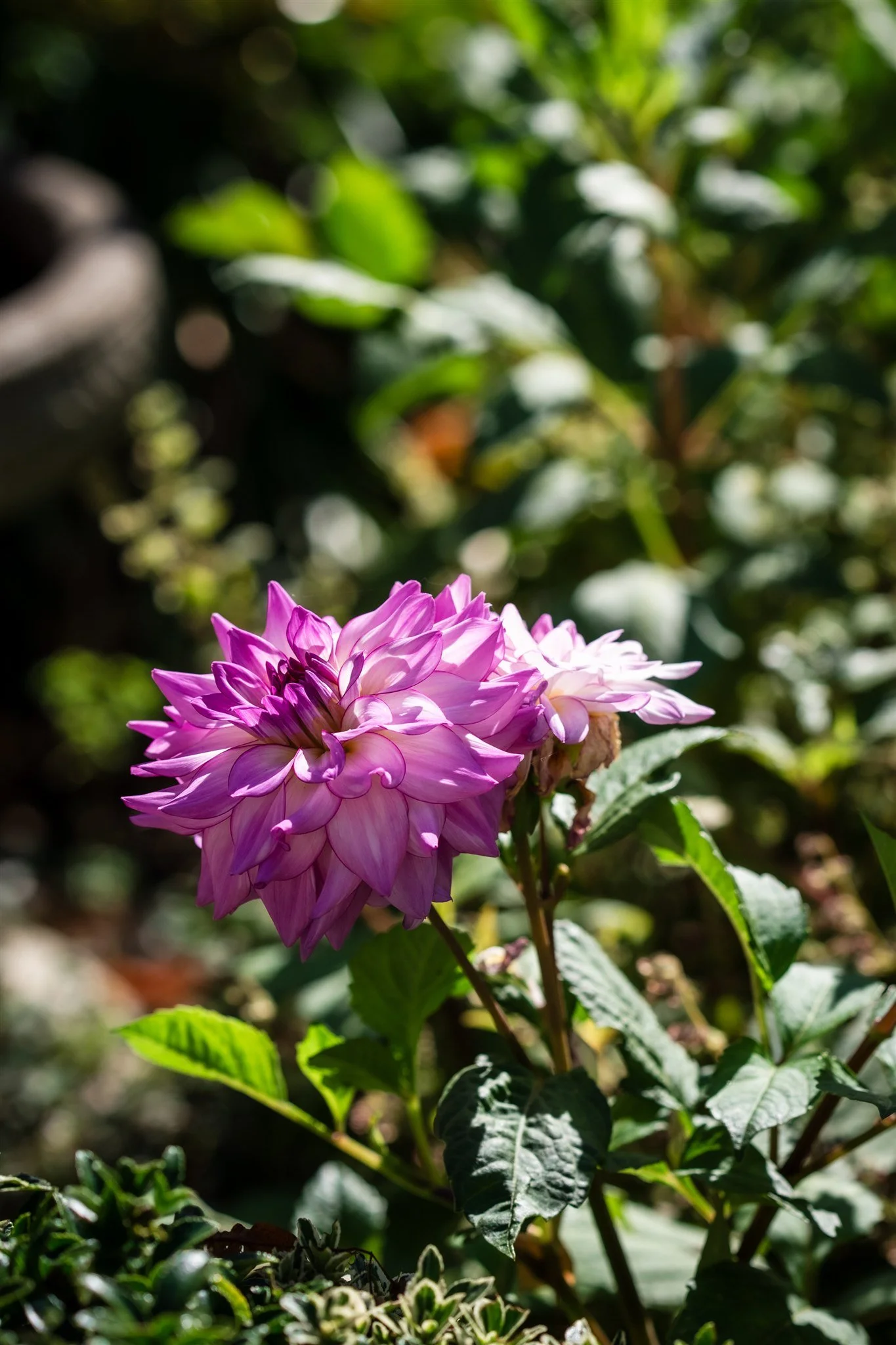 NorCa-Corton House-13.jpg