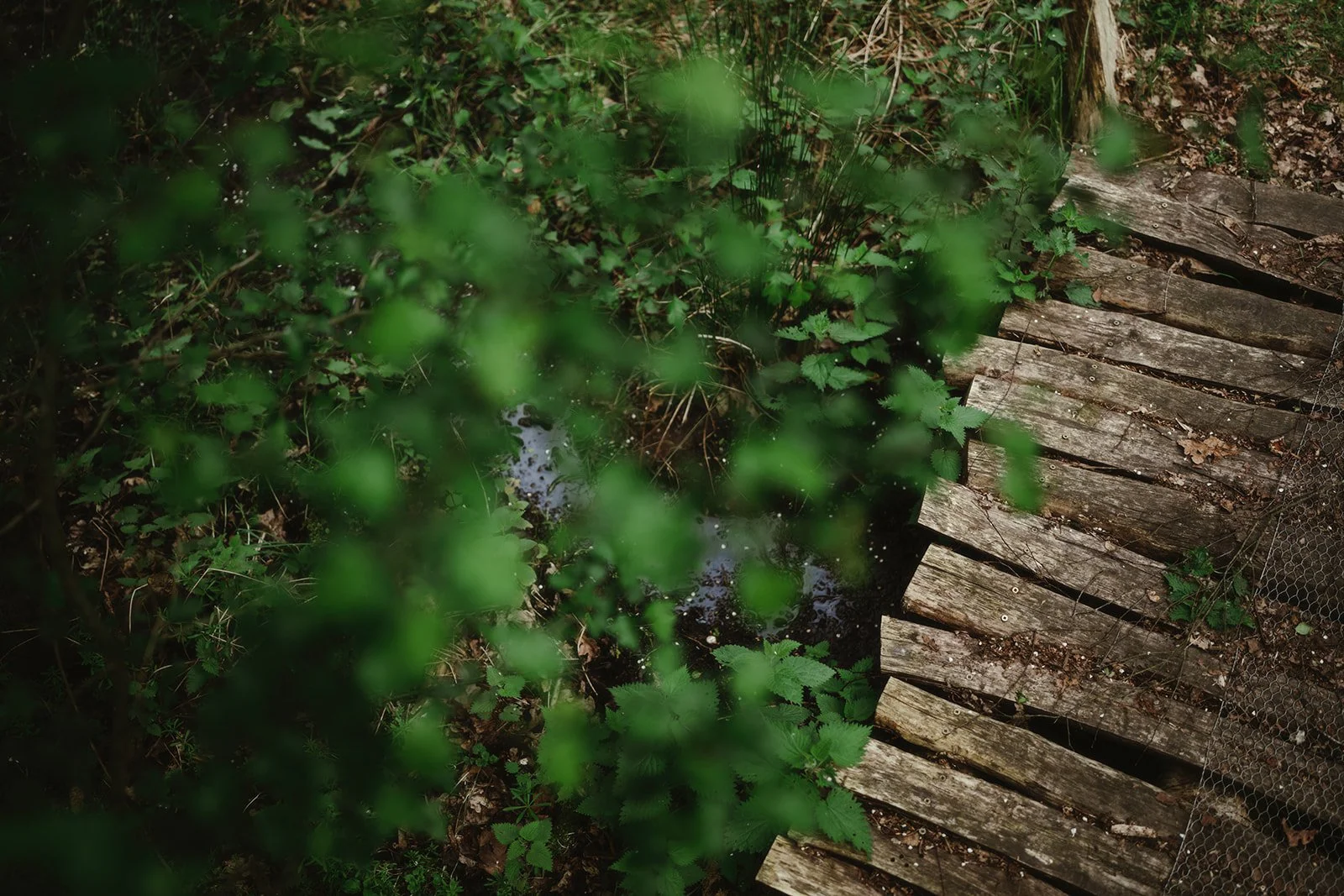 Green Light Trust - April 202467.jpg