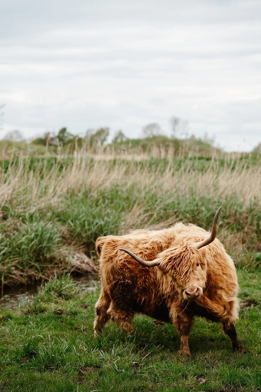 Green Light Trust - April 2024190.jpg