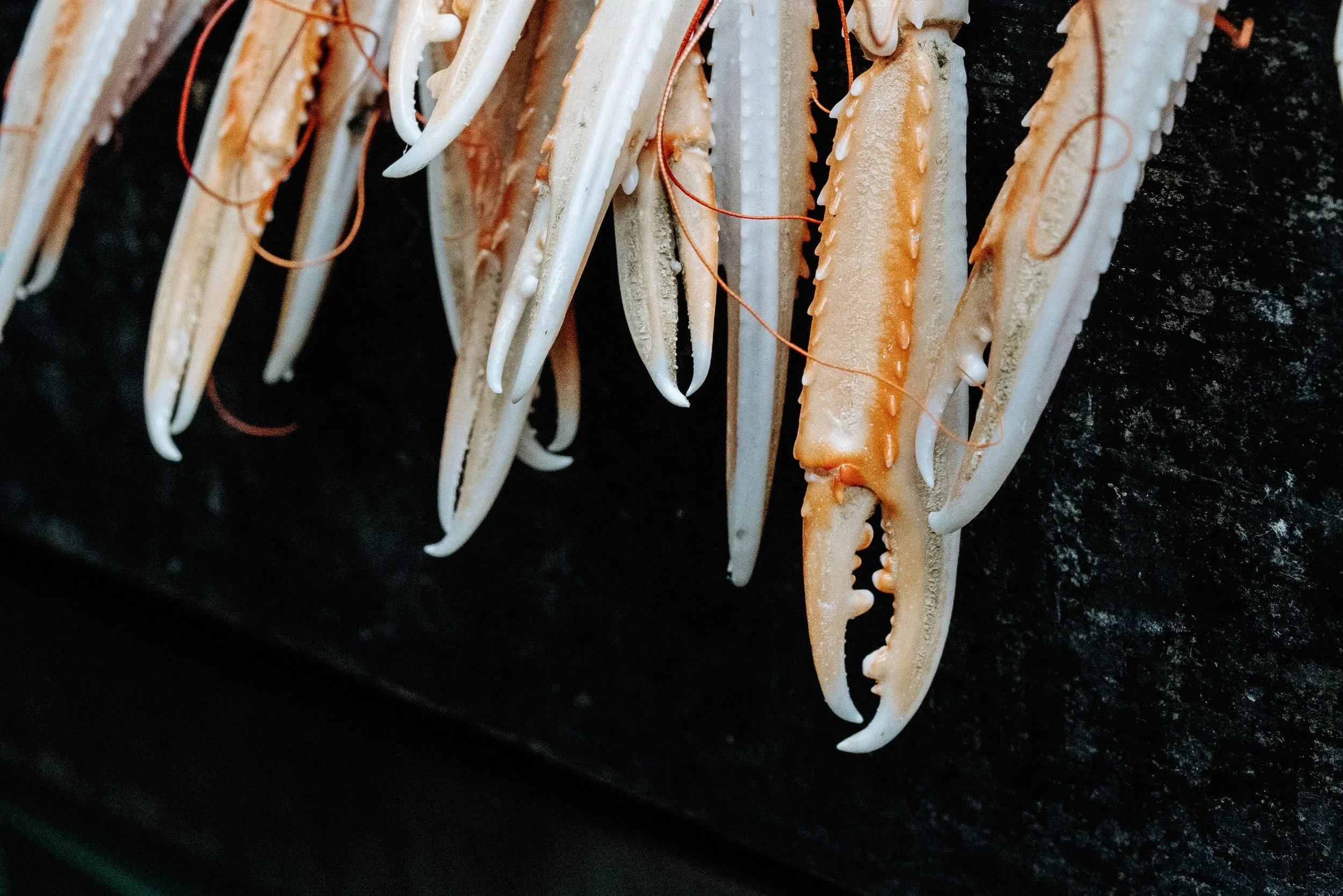 London w D Lacken (8 of 26)as.jpg