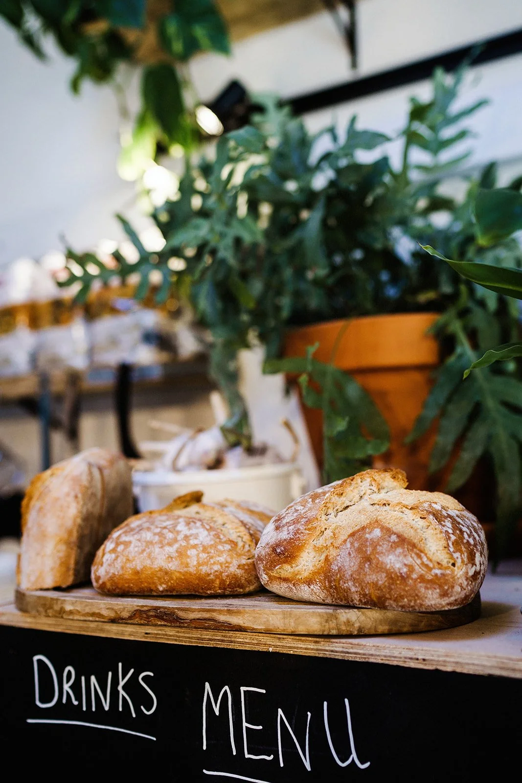 Suffolk Jungle-16_websize.jpg