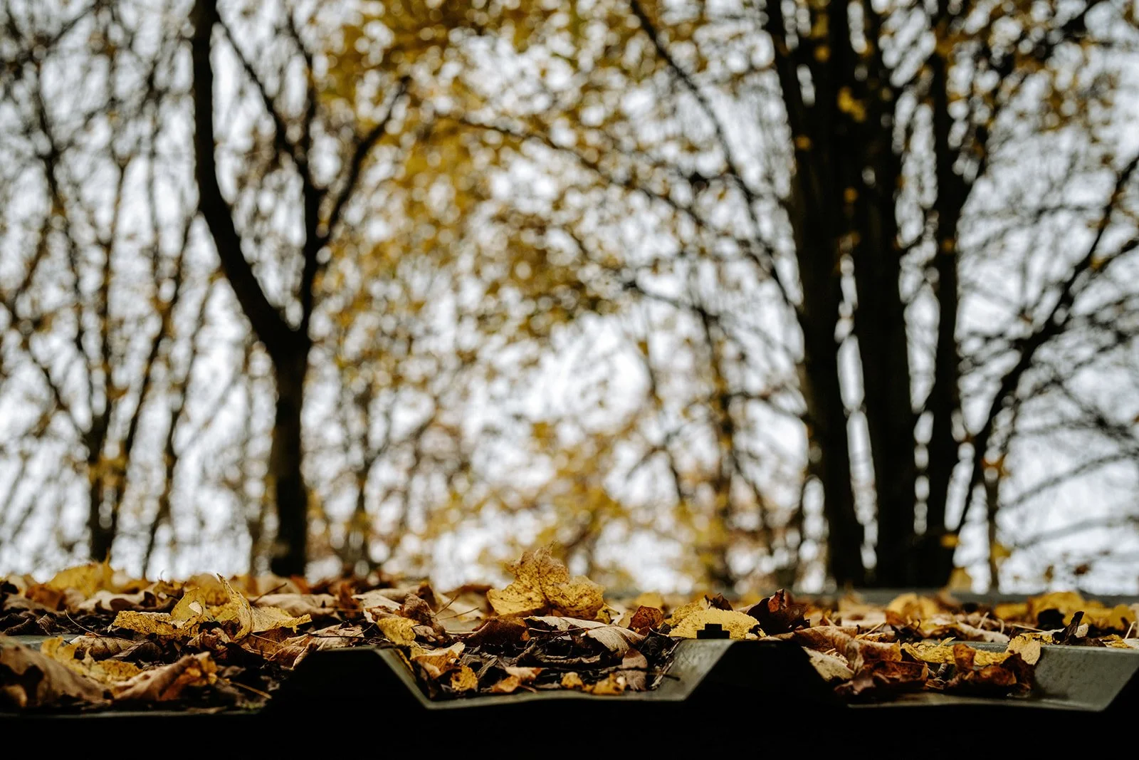 Wild Connections - Xmas Cookout - 6 Dec 2022 (41 of 41)_websize.jpg