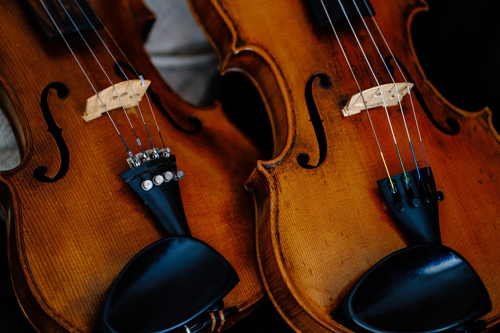 Proam Strings Print Size-15_websize.jpg