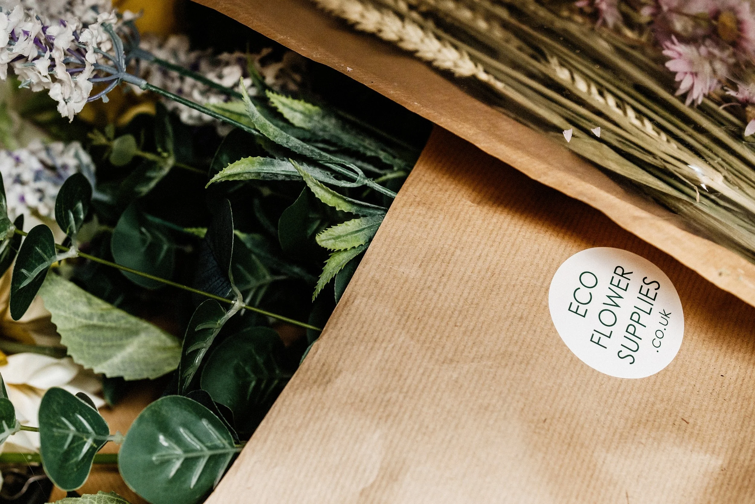 Dynamic - 27 Jul 22-50.jpg