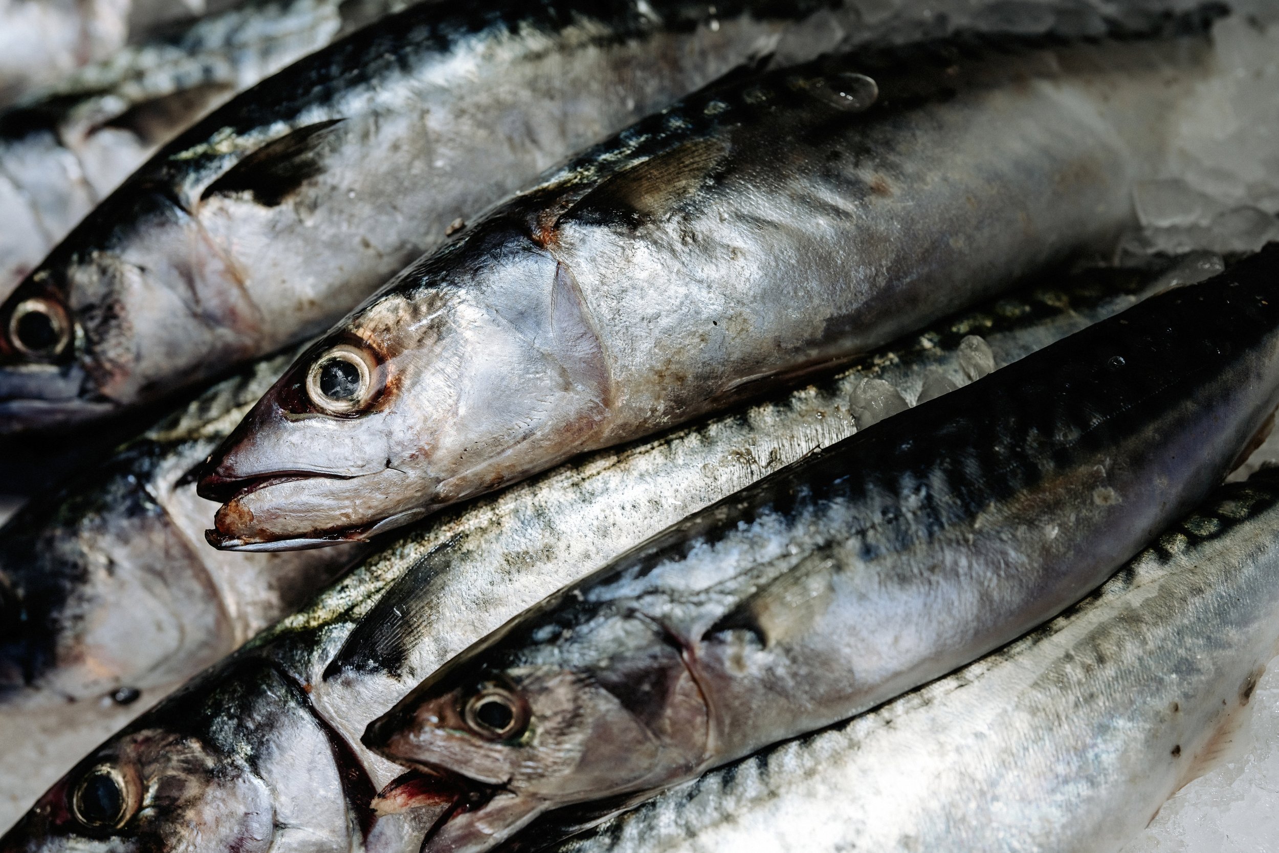 London w D Lacken (9 of 26)as.jpg