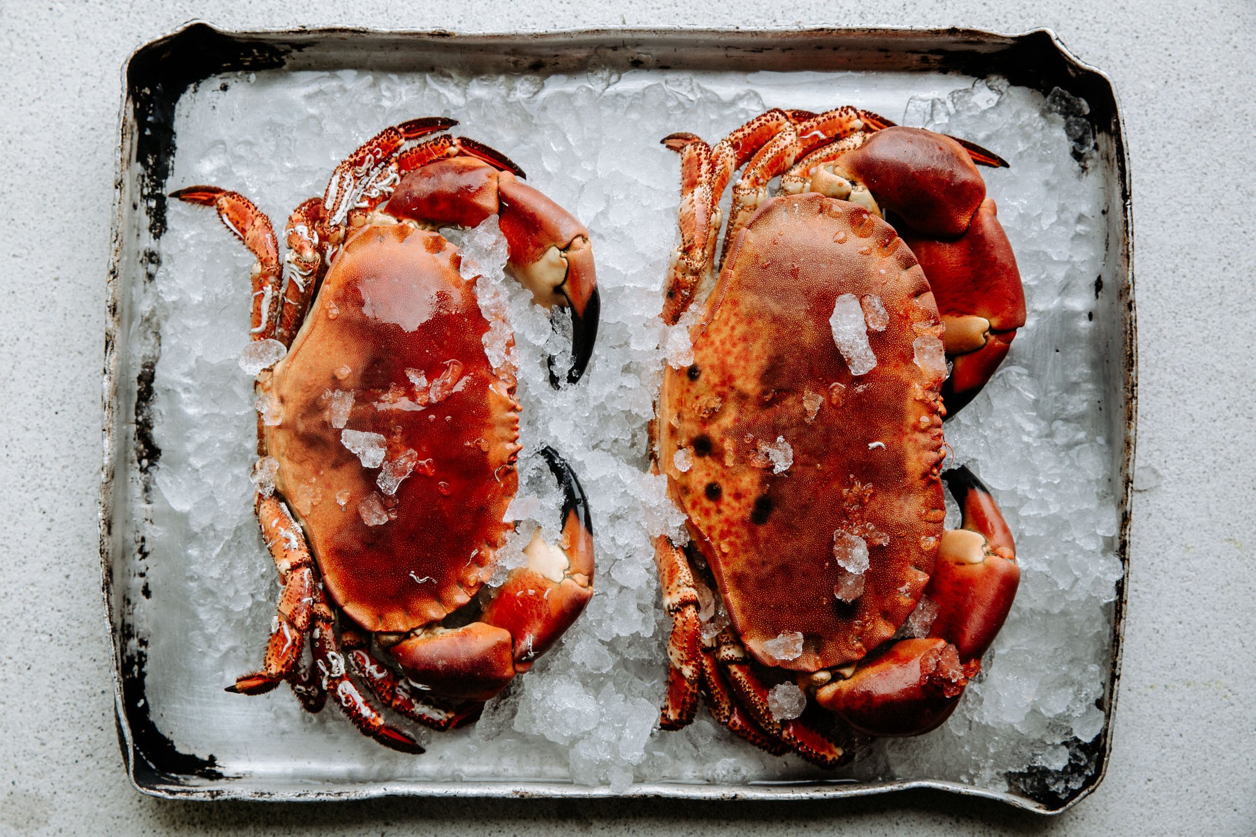 food photography in norfolk and suffolk (2 of 10).JPG