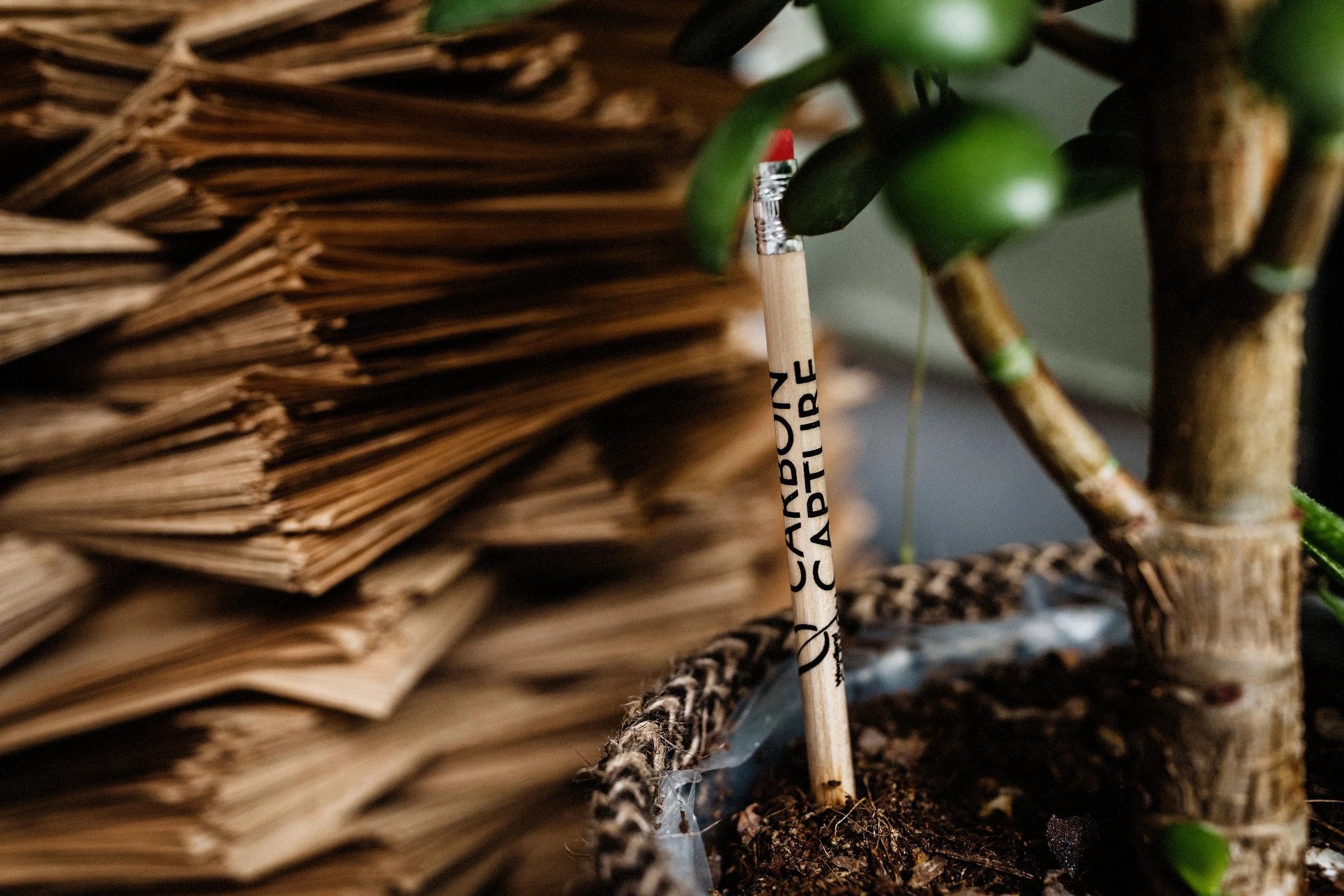 Dynamic - 27 Jul 22-89.jpg