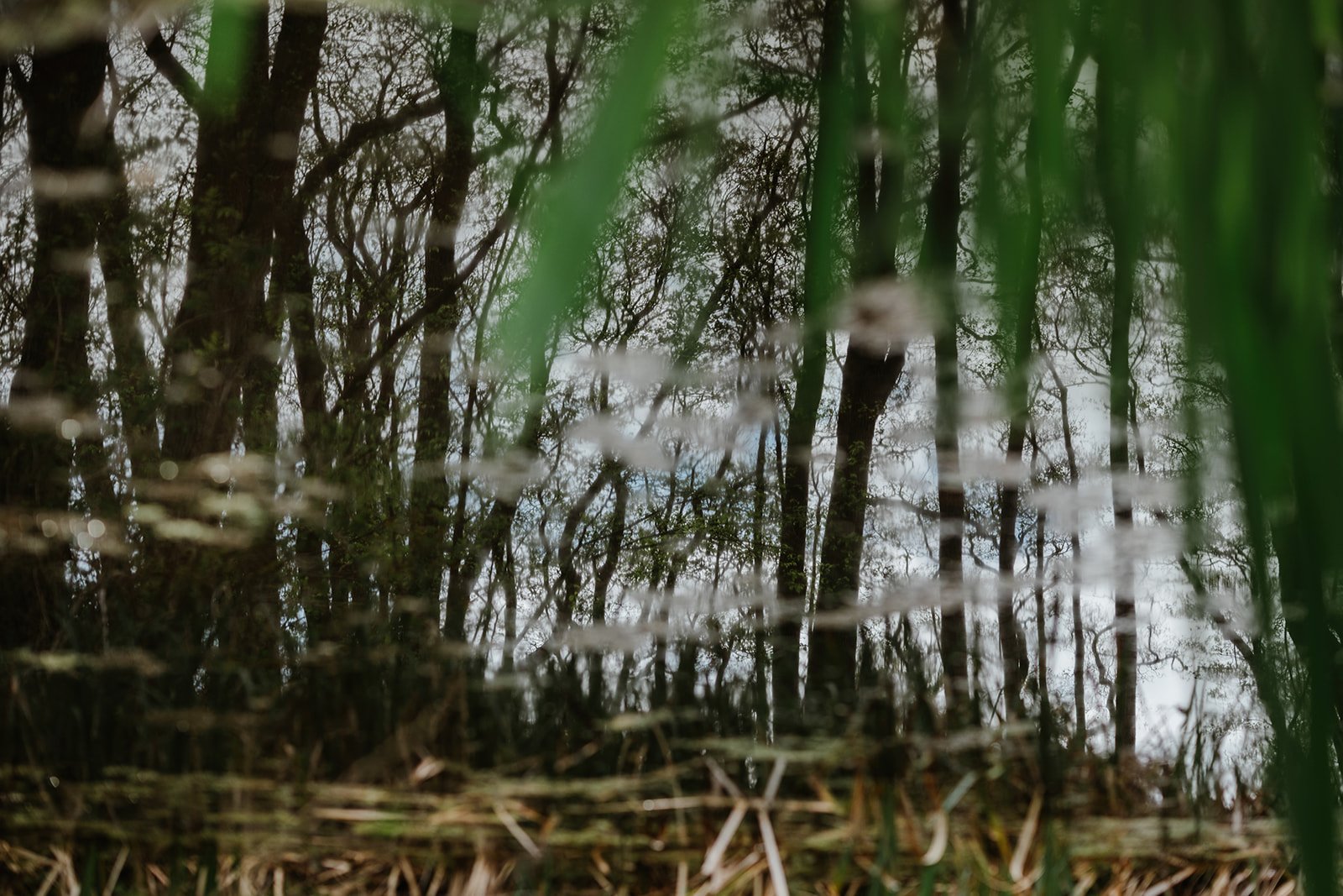 Green Light Trust - April 2024219.jpg