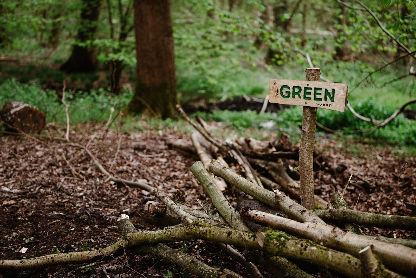 Green Light Trust - April 2024106.jpg