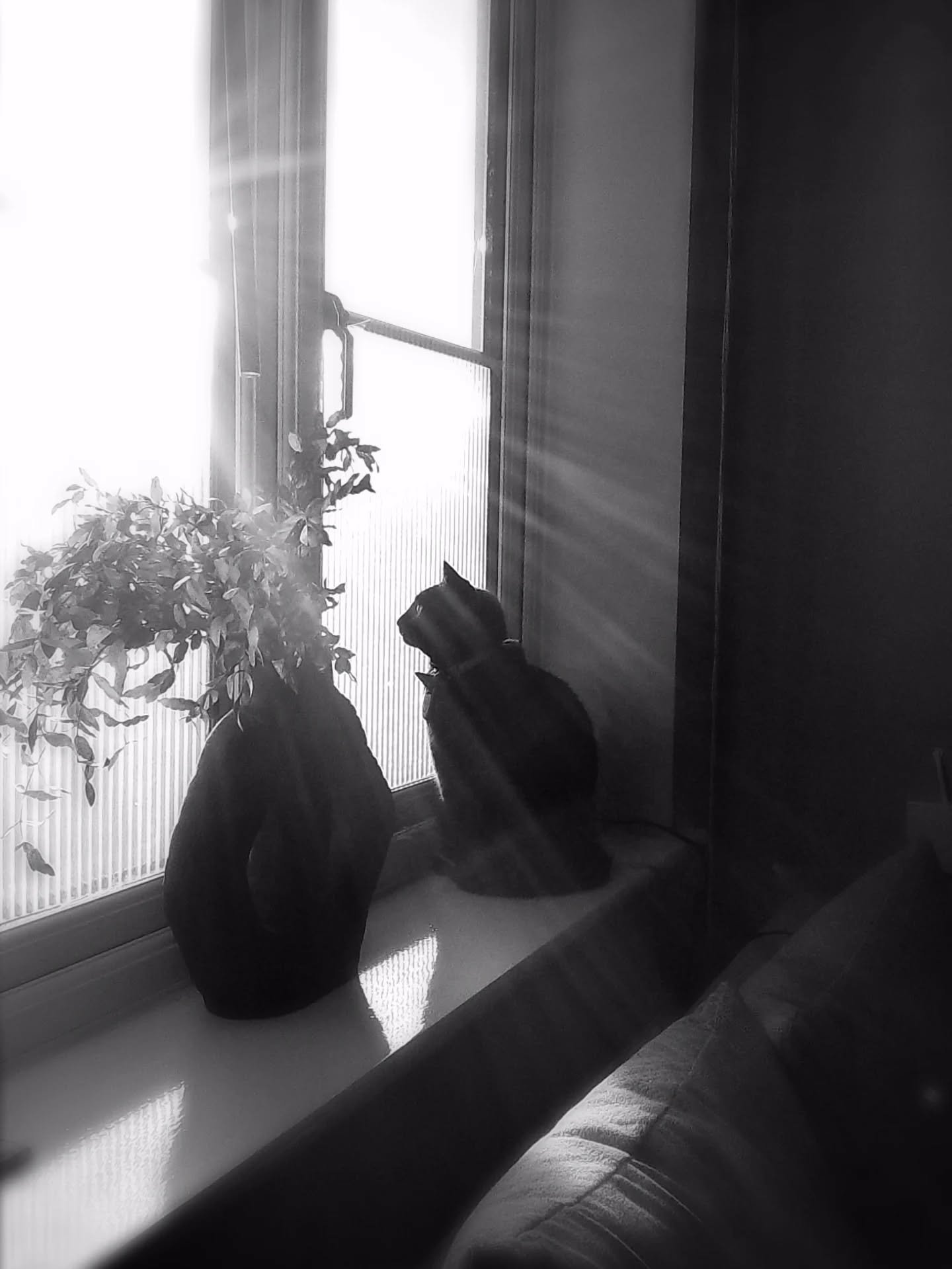 Enjoying the Christmas sun