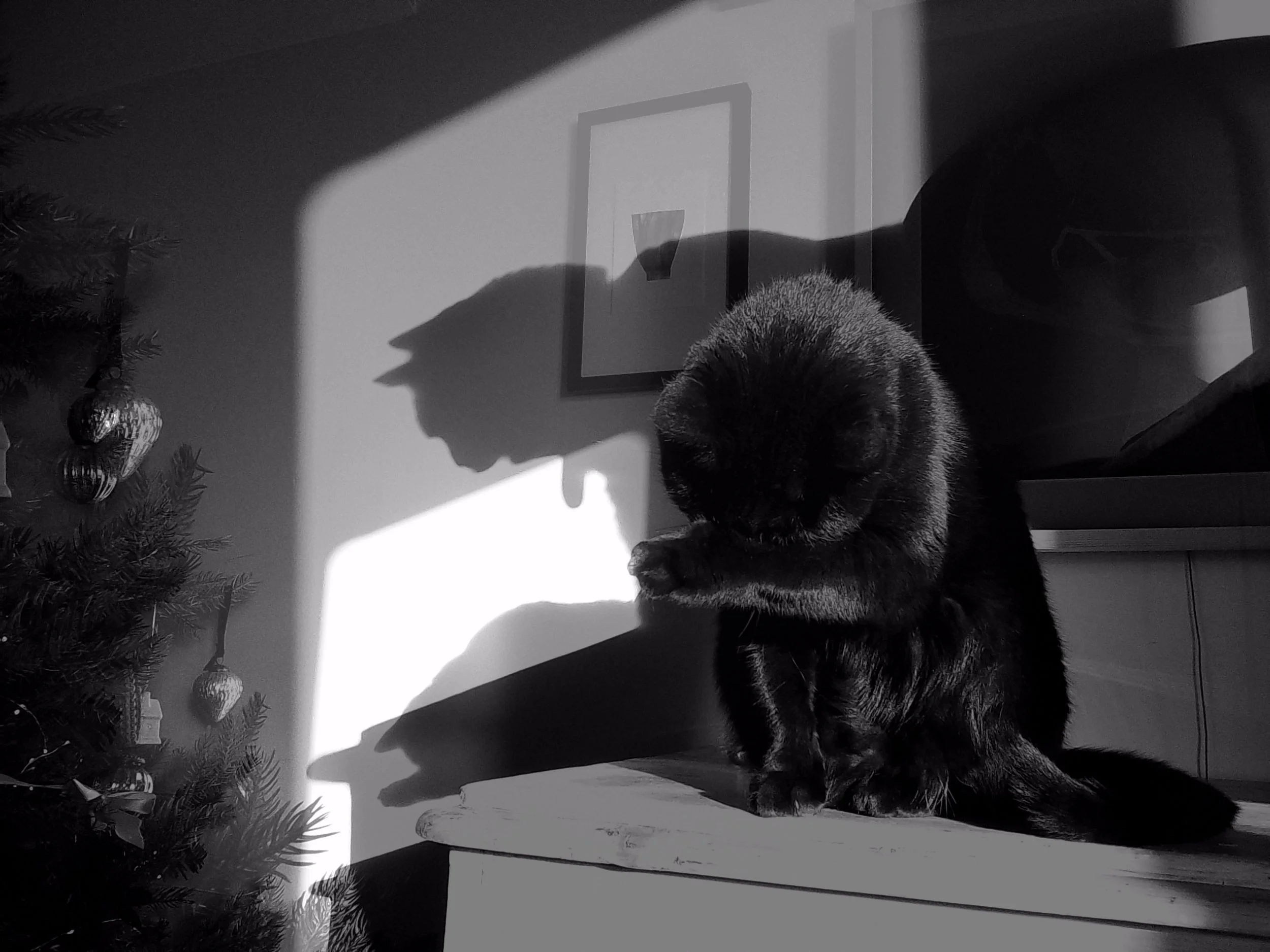 Astrid. Shot on Instax Mini Evo