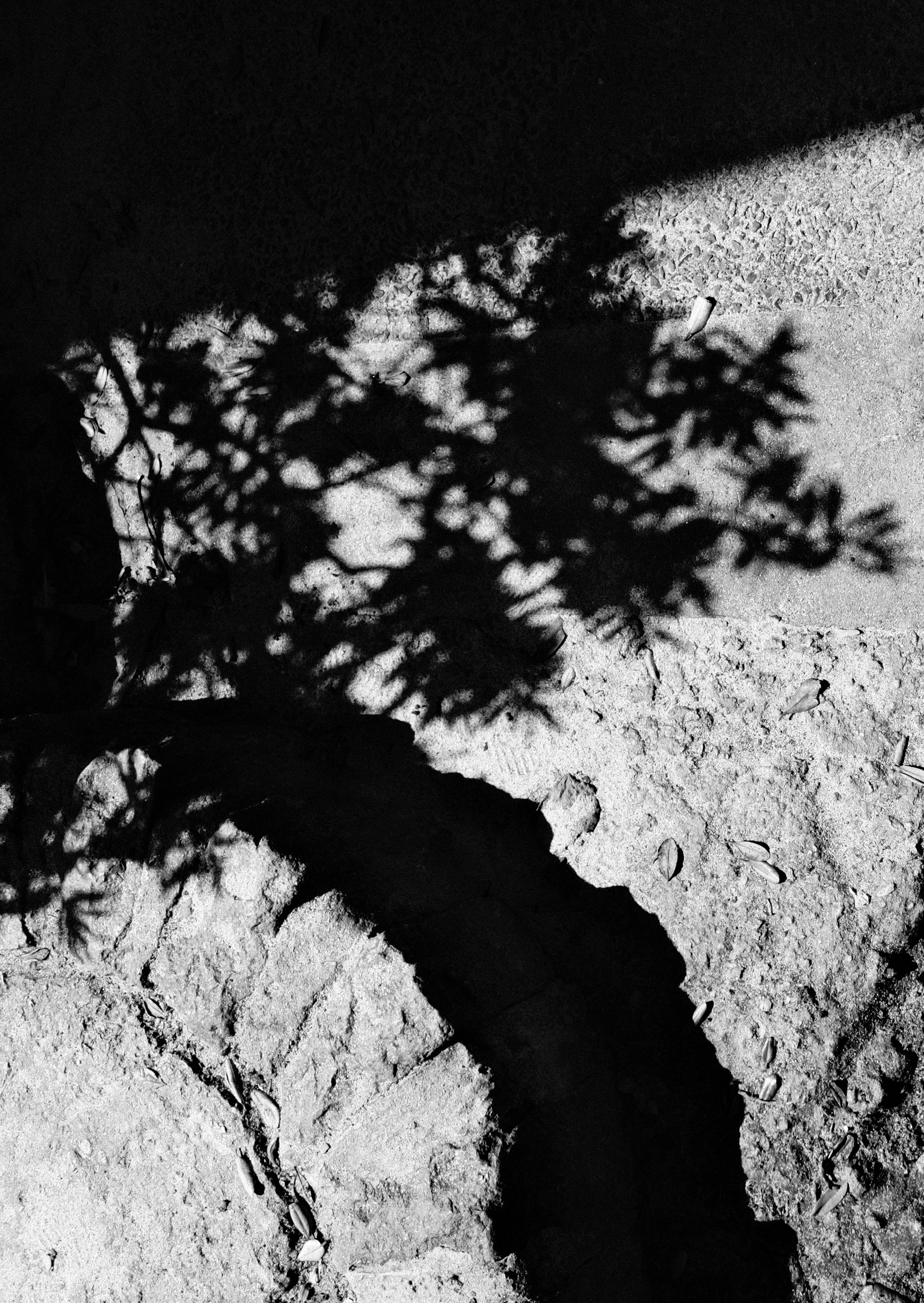 Hannah Earnshaw St Ives Penwith Gallery Hepworth (5).jpg