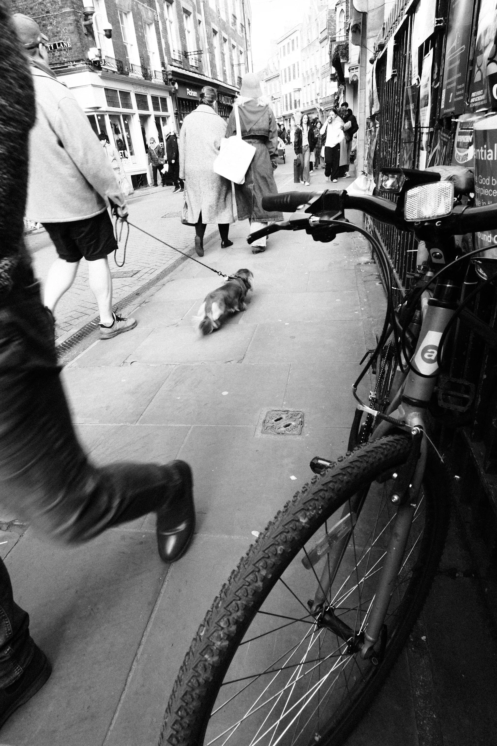 Cambridge Photography Hannah Earnshaw (2).jpg