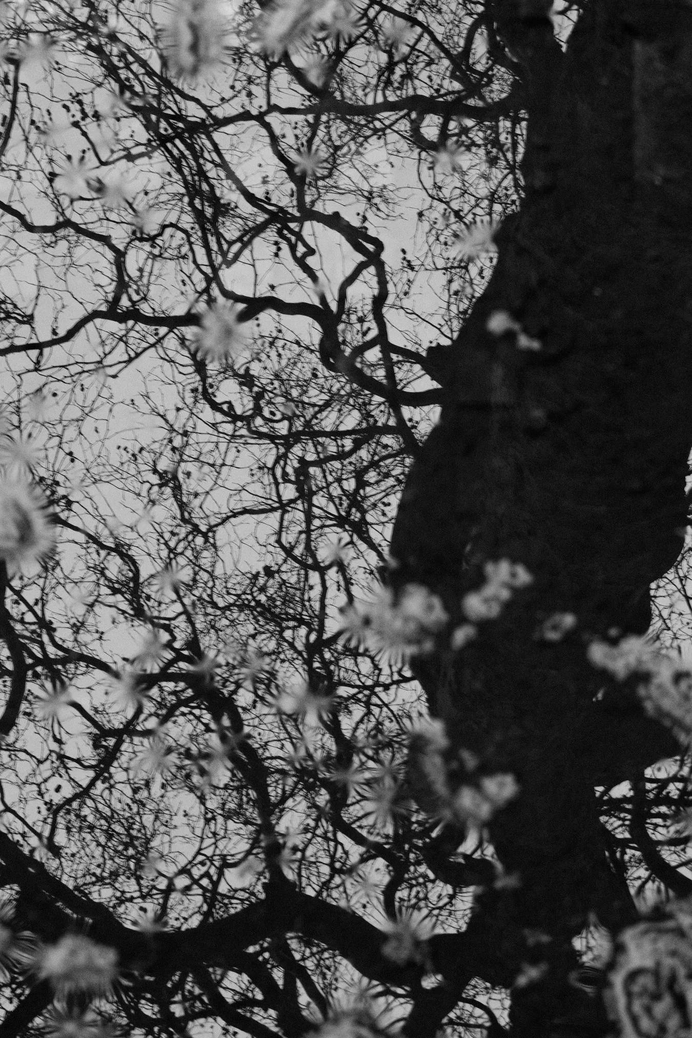 Hannsh Earnshaw Leicester Photography (2).jpg