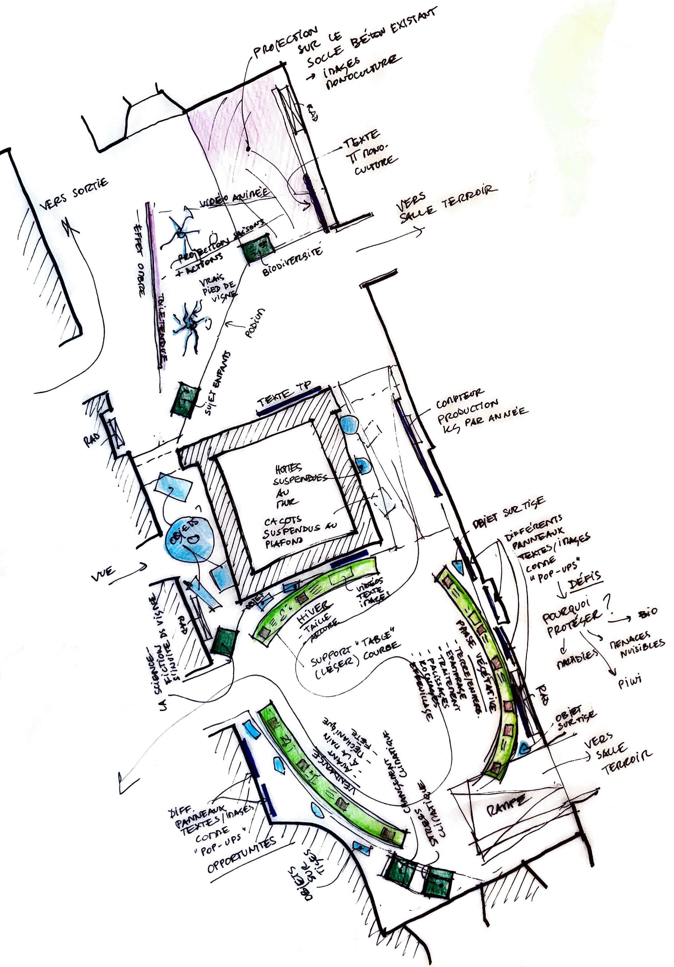 MVI_esquisse salles vigne1-2_250326.png