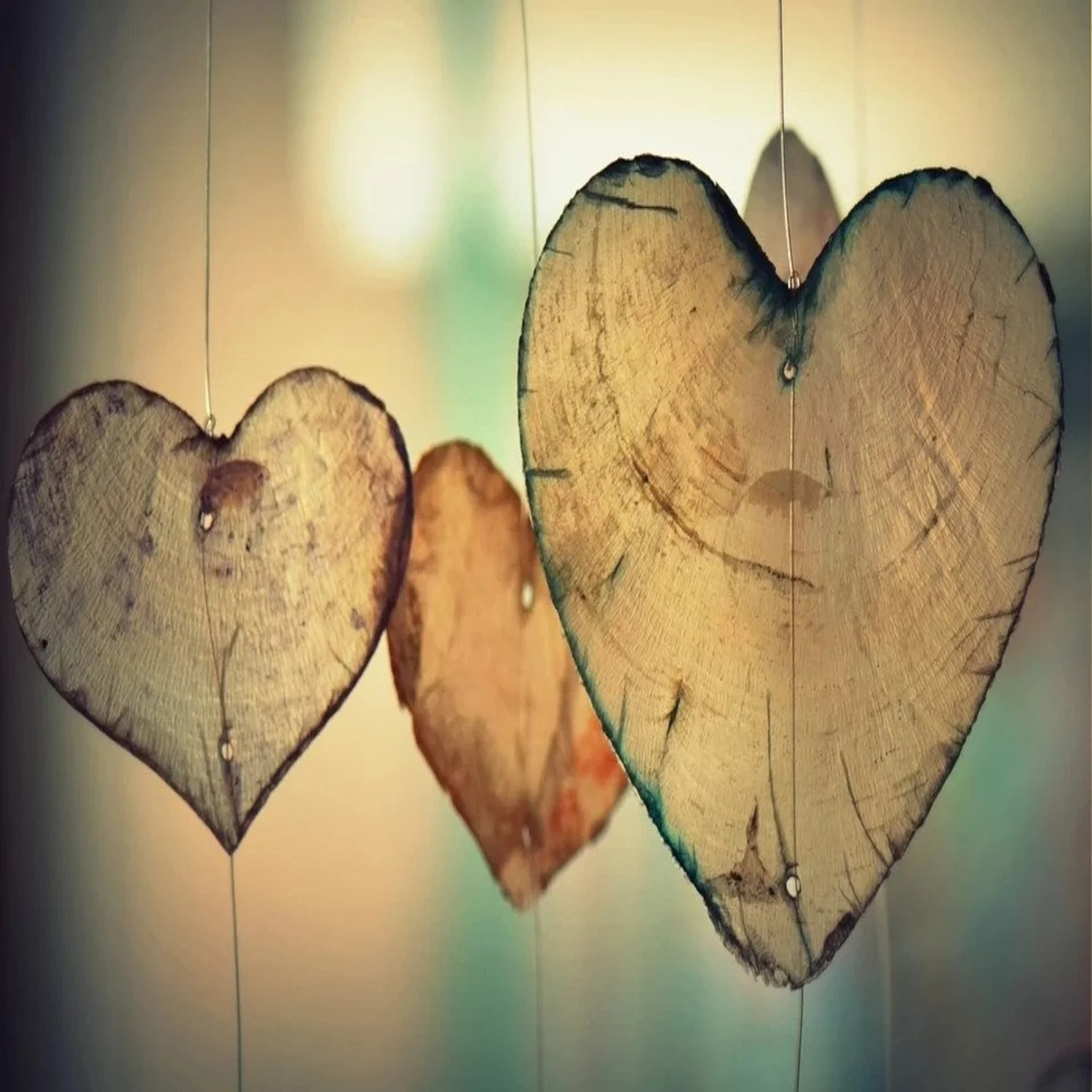 Love (The First Law) episode artwork