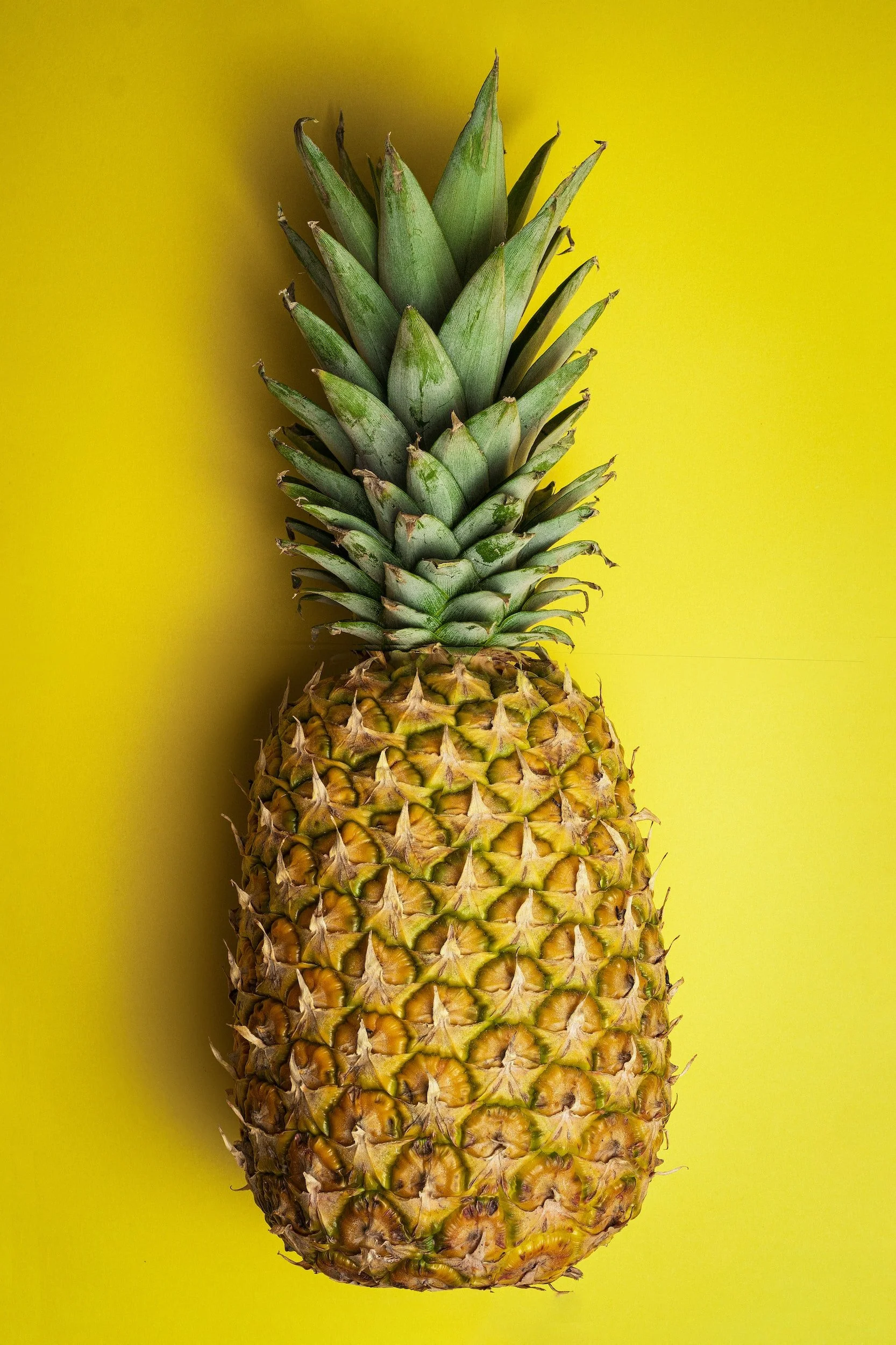unsplash-image-yx3-a7ualMM.jpg