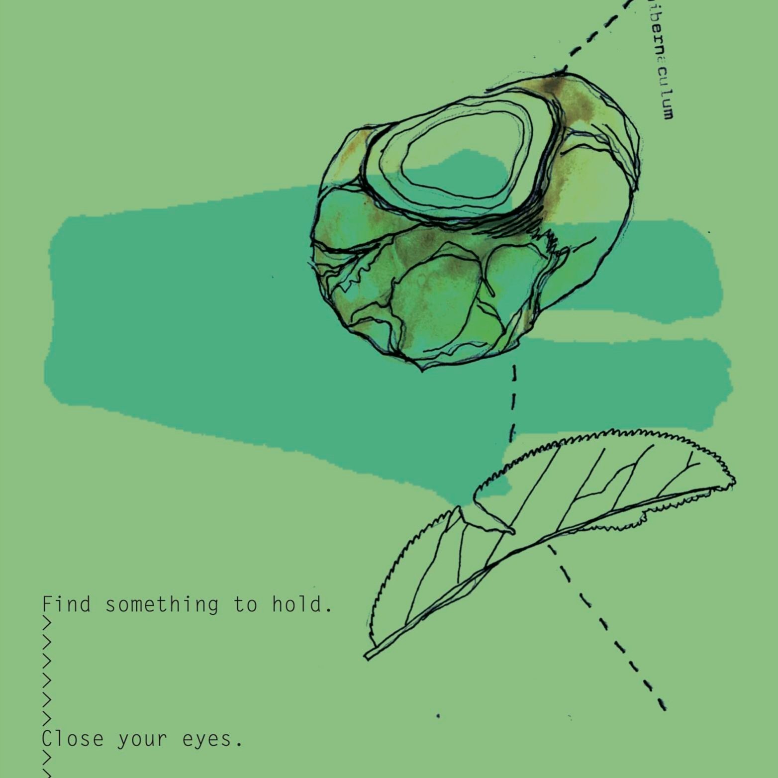 Something+to+hold+copy.jpg