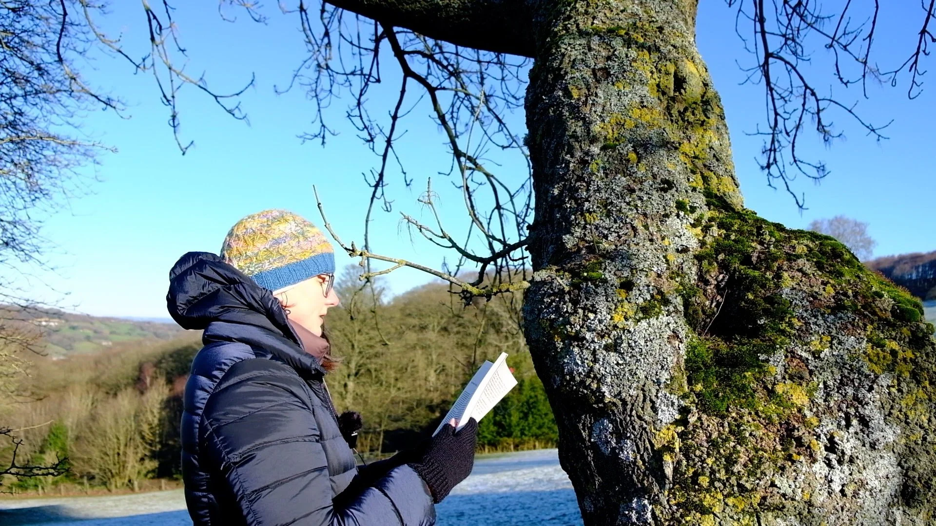 Notes from the Forest: January - Reading to a Tree