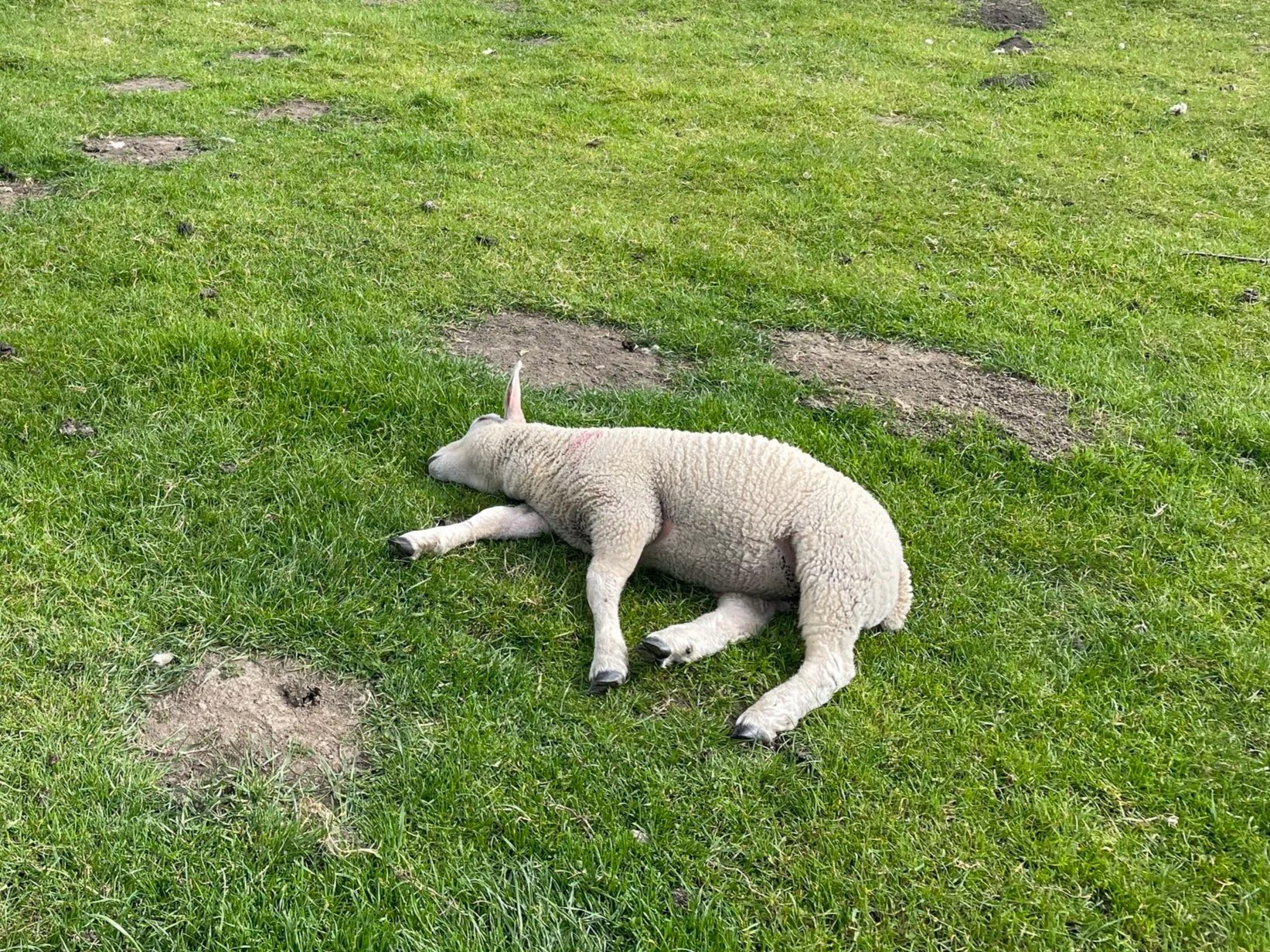 An Invitation to Approach Calmness