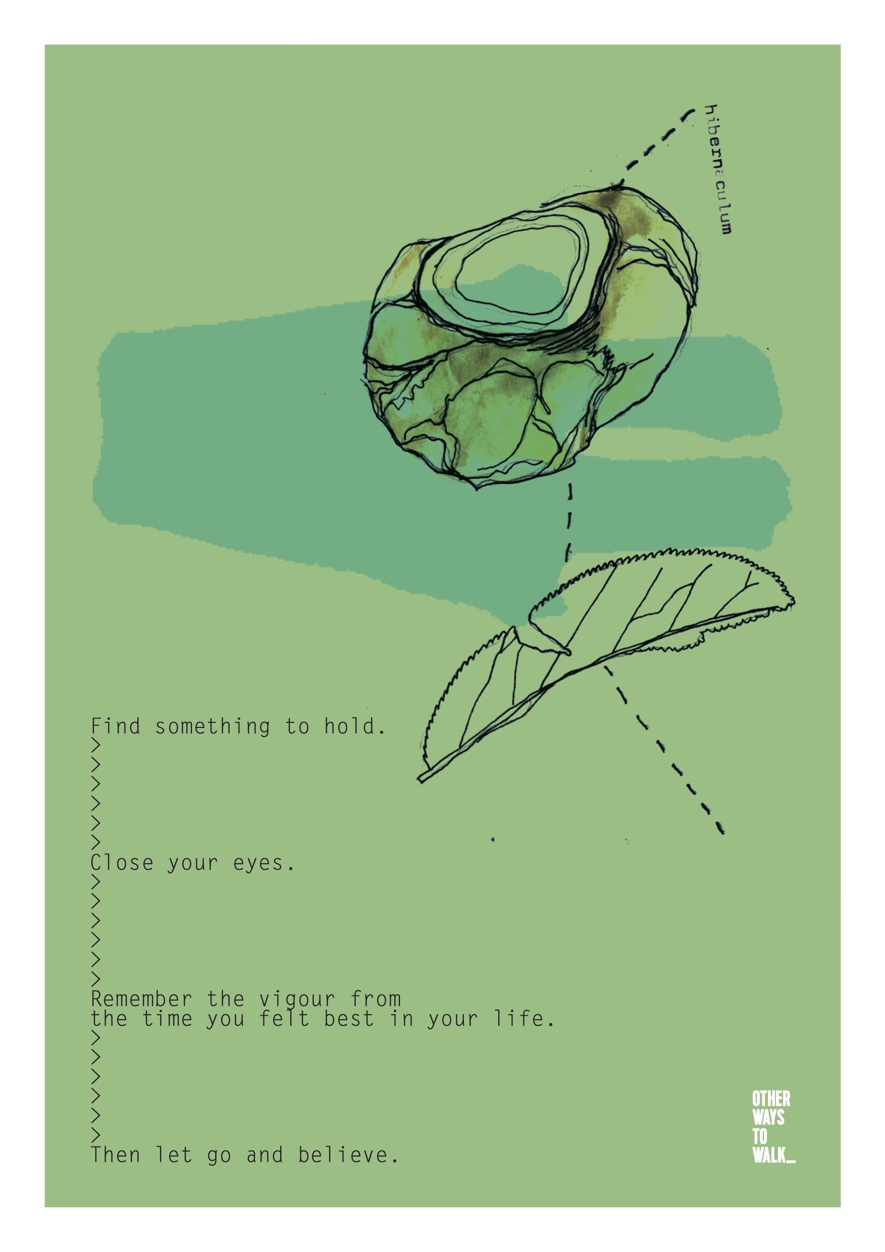 Something to hold.jpg