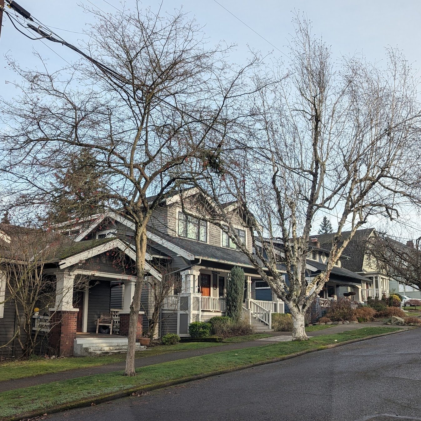 Join the Queen Anne Community Council on Wednesday, March 4 at 7:00 p.m. for a conversation with City Councilmember Bob Kettle.
He will provide an update on the status of the Comprehensive Plan legislation and what it means for Queen Anne. 
He may al