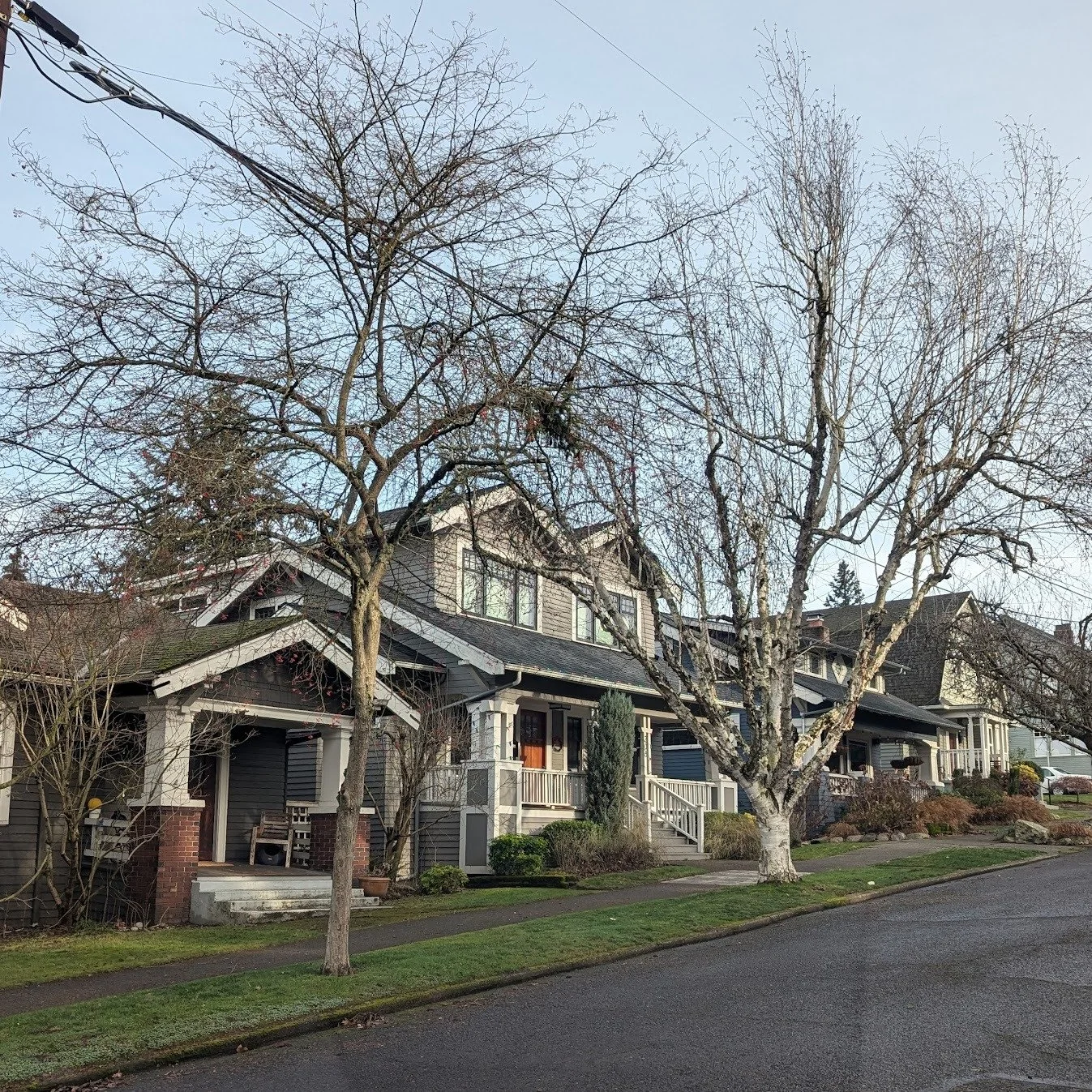 Join the Queen Anne Community Council on Wednesday, March 4 at 7:00 p.m. for a conversation with City Councilmember Bob Kettle.
He will provide an update on the status of the Comprehensive Plan legislation and what it means for Queen Anne. 
He may al