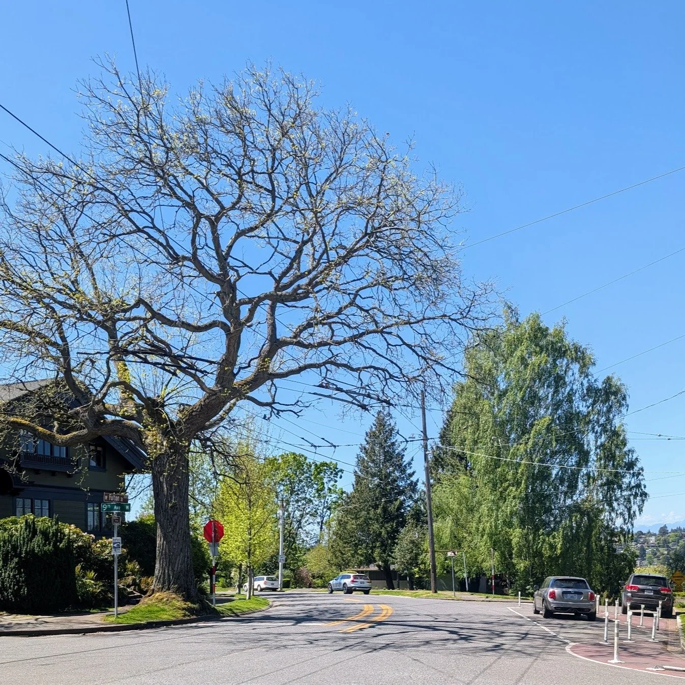 2026 Preservation Awards

Thursday, May 28 | 6&ndash;9 PM 
Seattle Elks Lodge #92, 3014 3rd Ave N

In celebration of Preservation Month, join us as we honor some of the special people and places that help make Queen Anne a wonderful historic neighbor