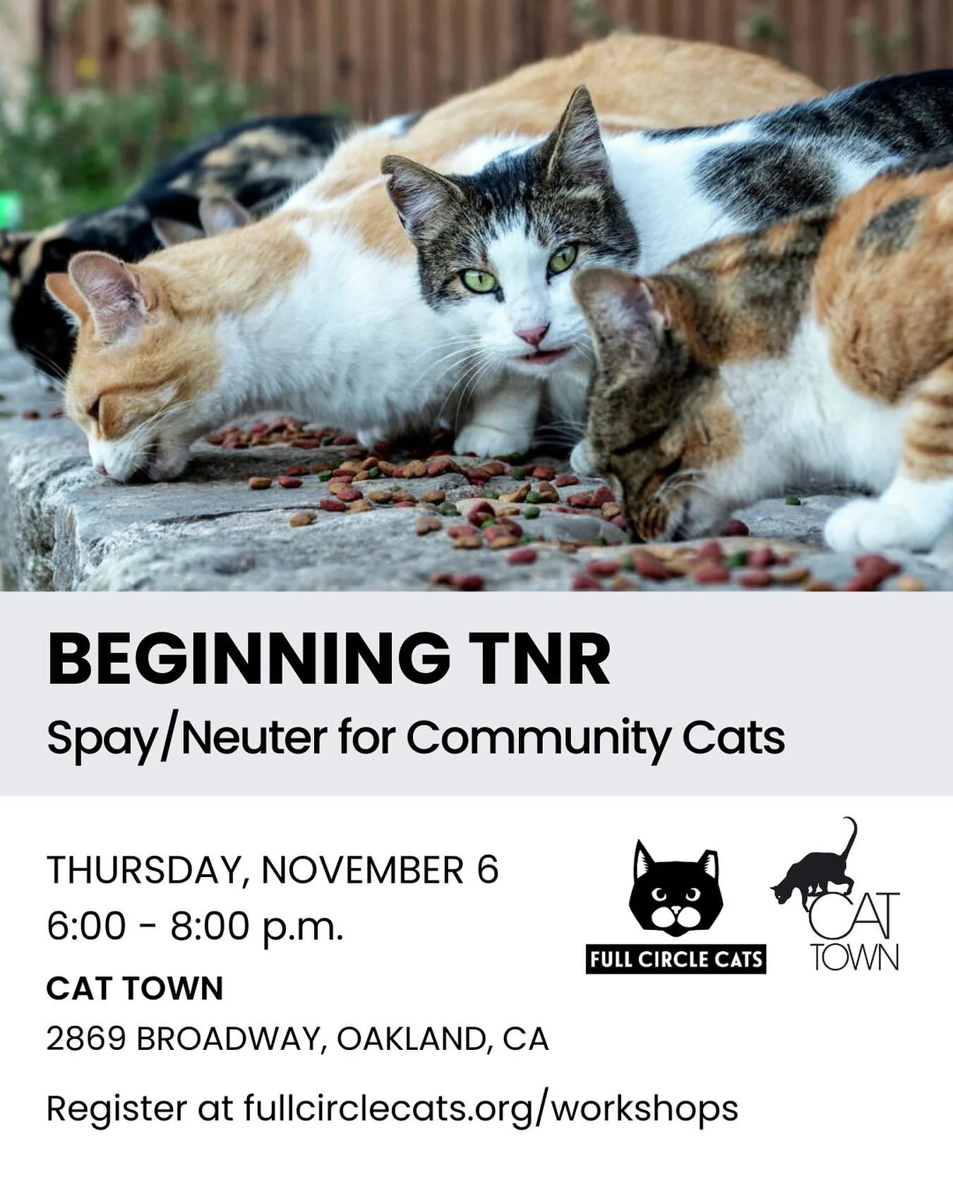 Join us for our in-person TNR (Trap-Neuter-Return) workshop next week at @cattownoak! 

Date: Thursday, November 6
Time: 6:00 - 8:00 p.m.
Where:&nbsp;Cat Town, 2869 Broadway, Oakland, CA

Ready to help the cats in your neighborhood? This free worksho