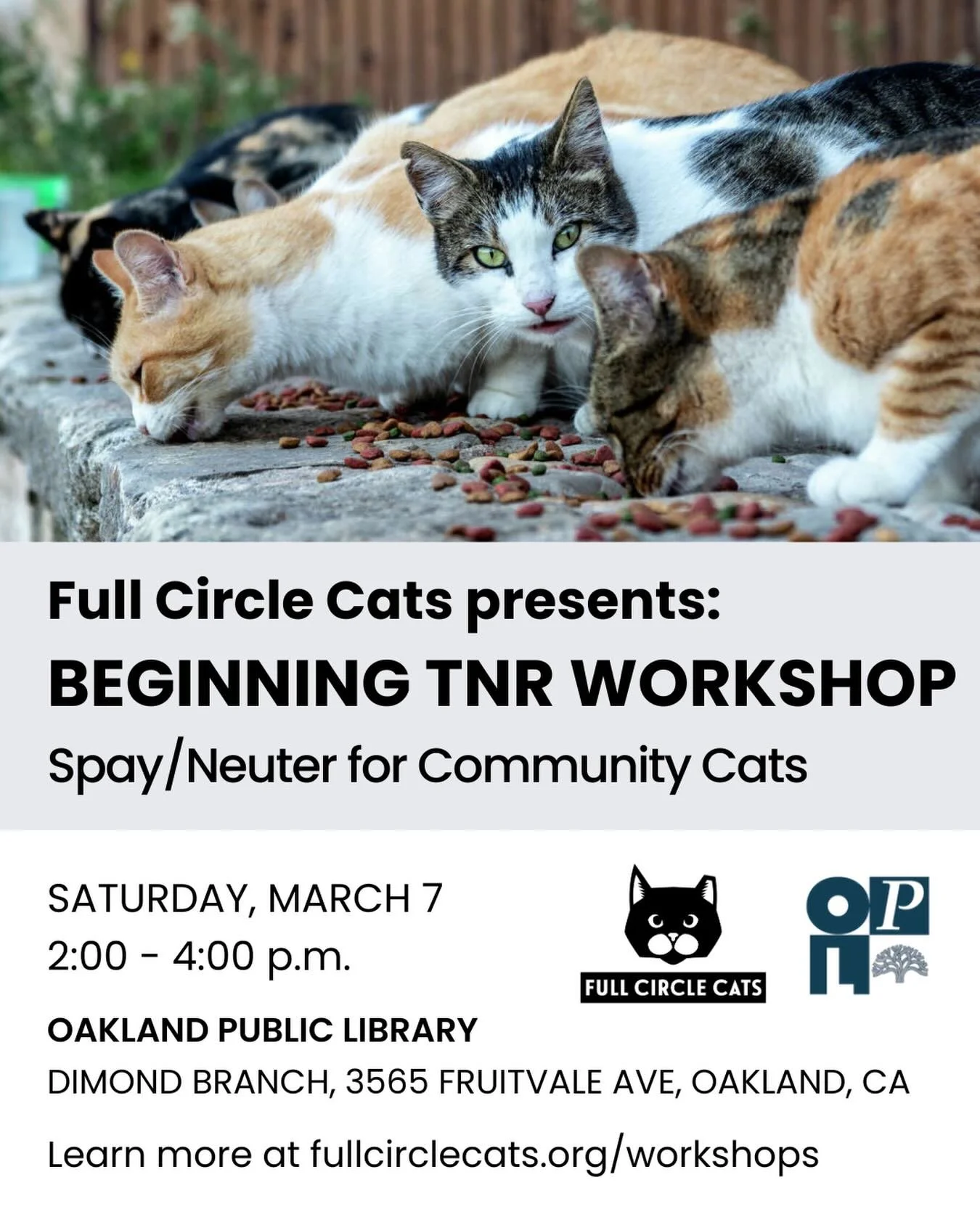 Our next free TNR workshop is coming up! Join us at the Dimond Branch of the @oaklibrary on March 7! 

Date: Saturday, March 7
Time: 2:00 - 4:00 p.m.
Where: Oakland Public Library, Dimond Branch, 3565 Fruitvale Ave, Oakland, CA

Ready to help the cat