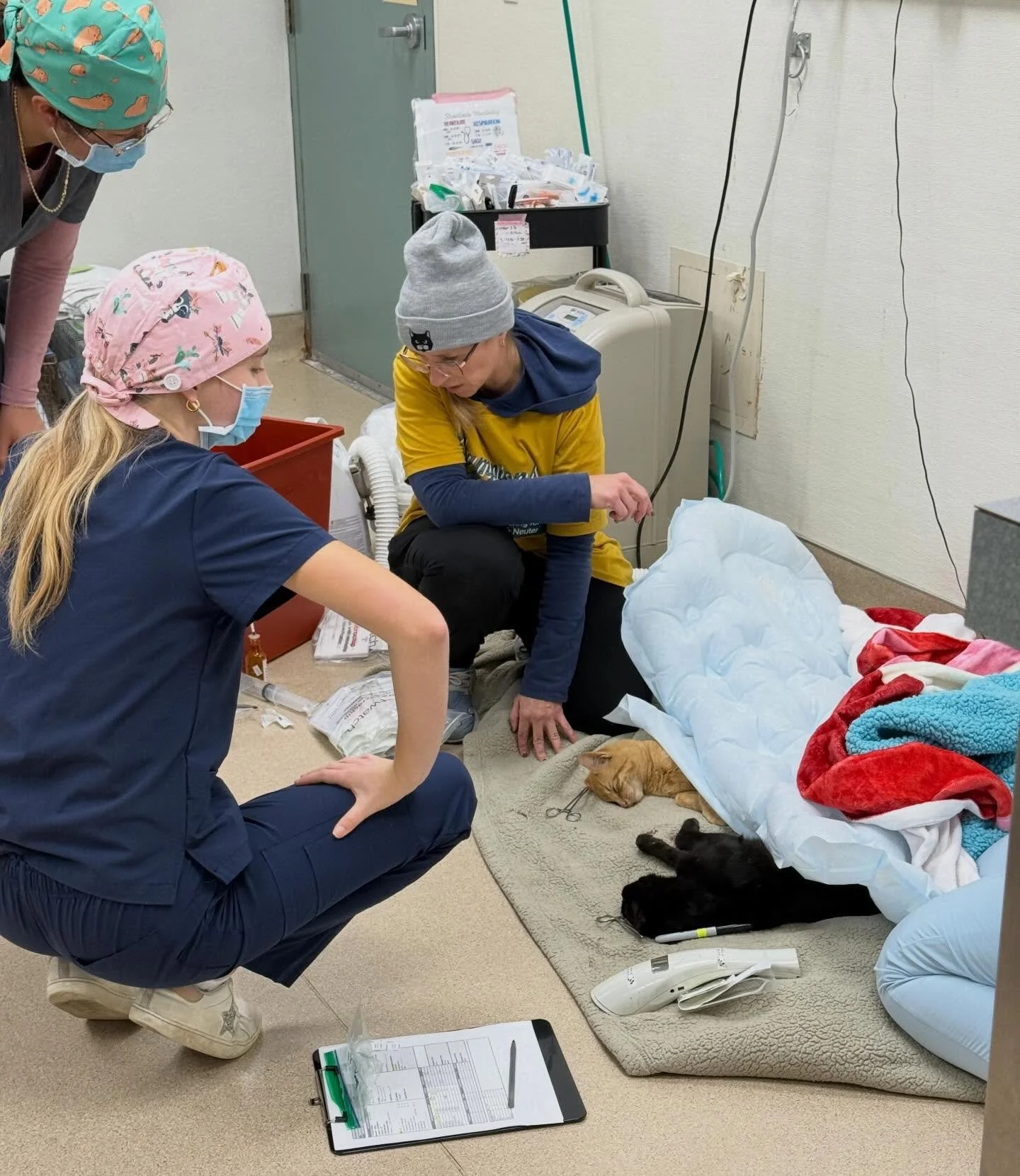 More behind-the-scenes from this past weekend! 

For many of these cats, this surgery day will be the only time in their lives that they are touched by a human being. 

While they have caretakers who love them and feed them, these community cats ofte