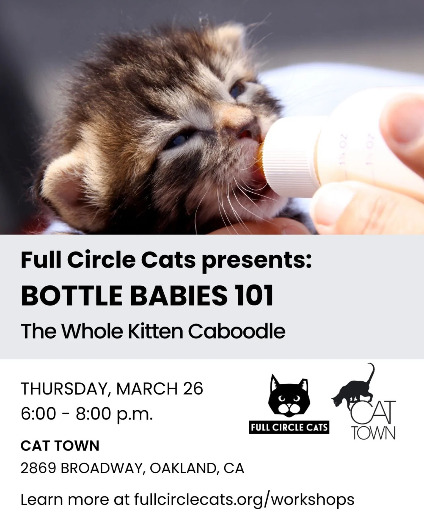 Join Full Circle Cats for our free, in-person workshop on how to care for kittens under six weeks old, taught by Katie Carney of @kitten911rescue. Kitten season is officially here! Just last week we brought in eight bottle babies. 

Date: Thursday, M