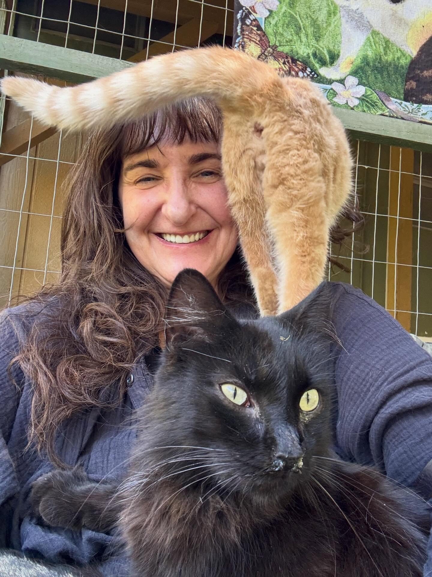 Full Circle moment! The same day we brought eight bottle babies into our program, we also took two senior cats to @thecathouseonthekings to retire from the streets. The Cat House on the Kings is a beautiful sanctuary with around 800 cats living on mu