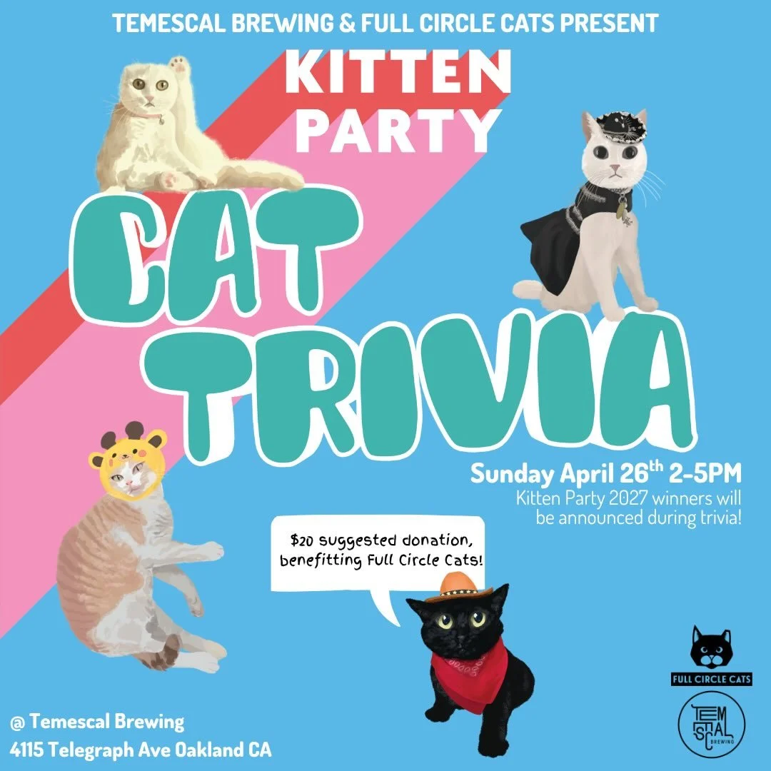 Cat Trivia returns this Sunday! Join us for several rounds of ridiculous cat facts, a food truck, silly prizes, and cold drinks. @temescalbeer will also be serving up their limited edition beer: Kitten Party! There&rsquo;s a reason this is such a pop