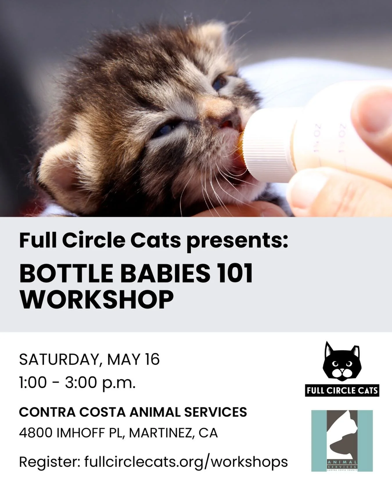 Join Full Circle Cats for our free, in-person workshop on how to care for kittens under six weeks old, taught by Katie Carney of @kitten911rescue.

When: Saturday, May 16, 1:00 &ndash; 3:00 p.m.
Where: Contra Costa Animal Services @contra_costa_anima