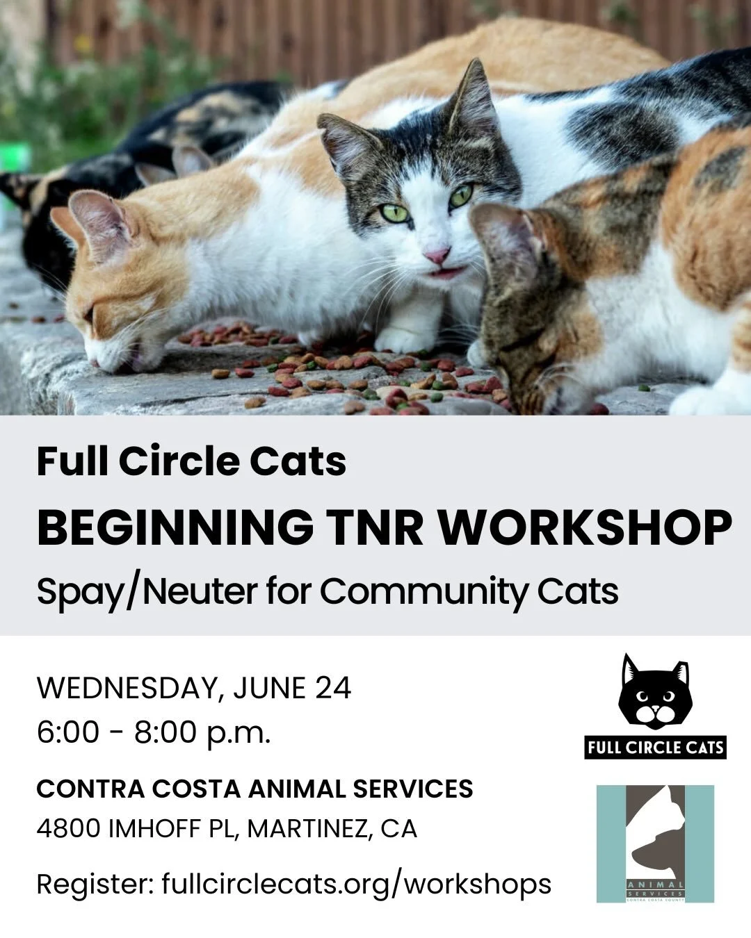 Join Full Circle Cats for our free, in-person workshop all about trap-neuter-return (TNR) and caring for the cats in our community, in partnership with @contra_costa_animal_services! 

When: Wednesday, June 24, 6:00 - 8:00 p.m.
Where: Contra Costa An