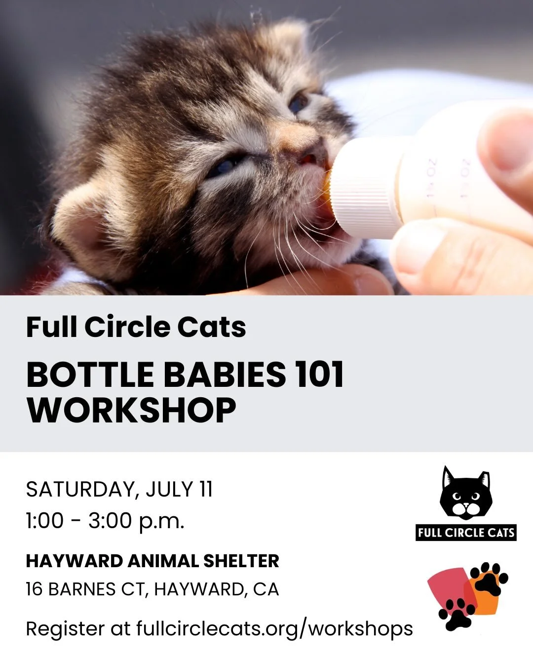 Join Full Circle Cats for our free, in-person workshop on how to care for kittens under six weeks old, taught by Katie Carney of Kitten 911 Rescue.

Saturday, July 11, 1:00 &ndash; 3:00 p.m.
Hayward Animal Shelter
@haywardanimalshelter 
16 Barnes Ct,