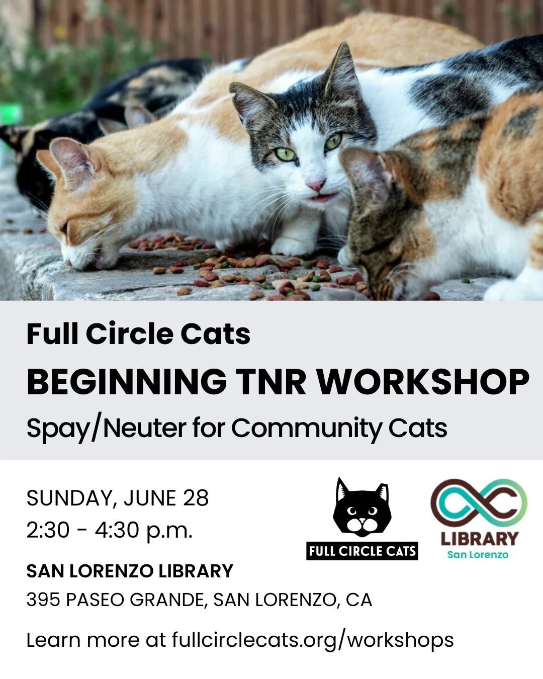 Join Full Circle Cats for our free, in-person workshop at the San Lorenzo Library @aclibrary. It&rsquo;s all about trap-neuter-return (TNR) and caring for the cats in our community! 

Sunday, June 28, 2:30 &ndash; 4:30 p.m.
San Lorenzo Library, 395 P