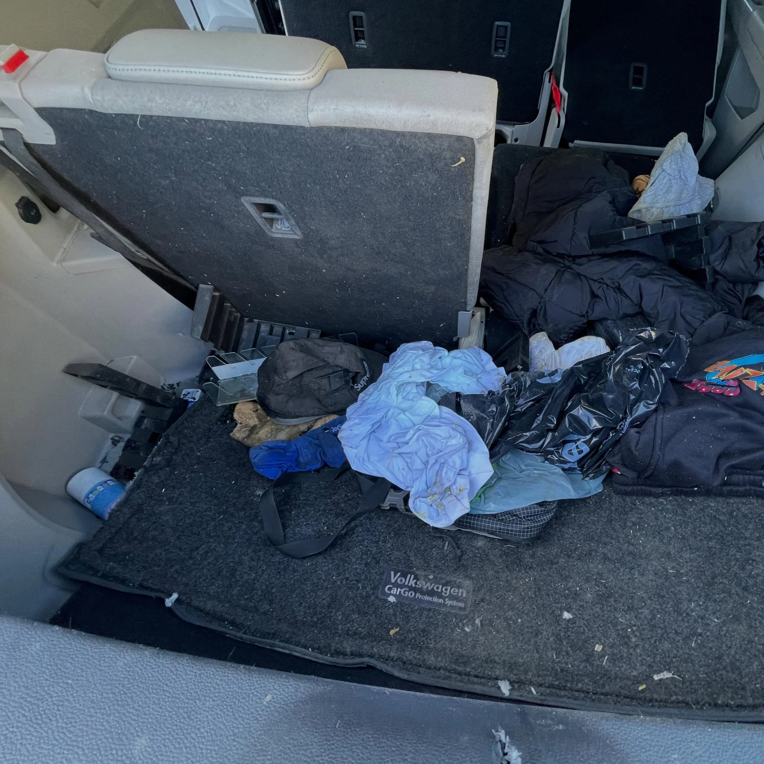 A car riddled with bullet holes and a kitten, not even a day old, found crying inside of the spare tire well, lying in a nest of broken glass. 

A big surprise for the auto shop, who ran over to their neighbors at @cattownoak, who then called us. The