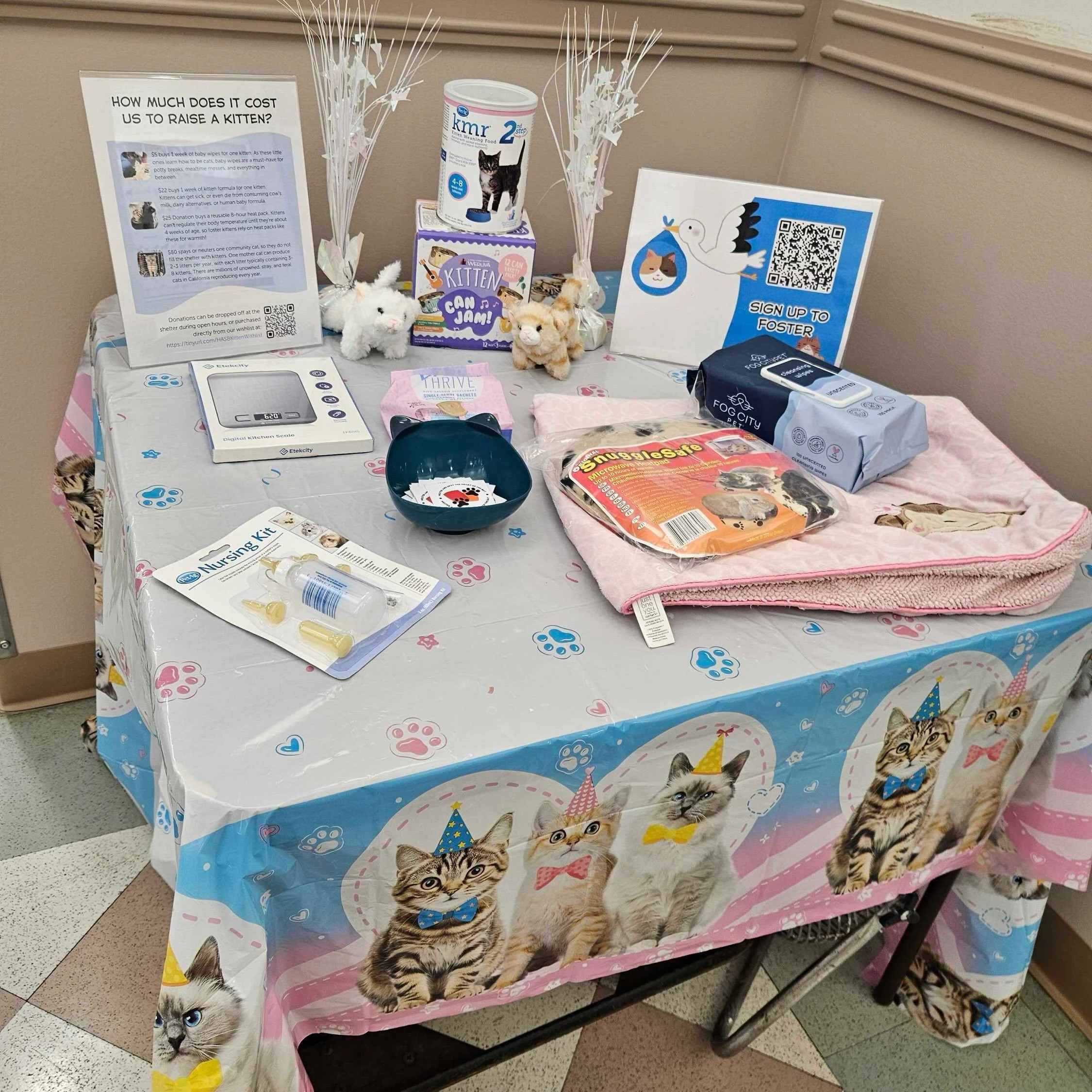 Our Bottle Babies 101 workshop at Hayward Animal Shelter was such a hit that a little black and white kitten evaded staff to try to join us! It was a wonderful group of folks who showed up to learn all about caring for the tiniest kittens and we all 