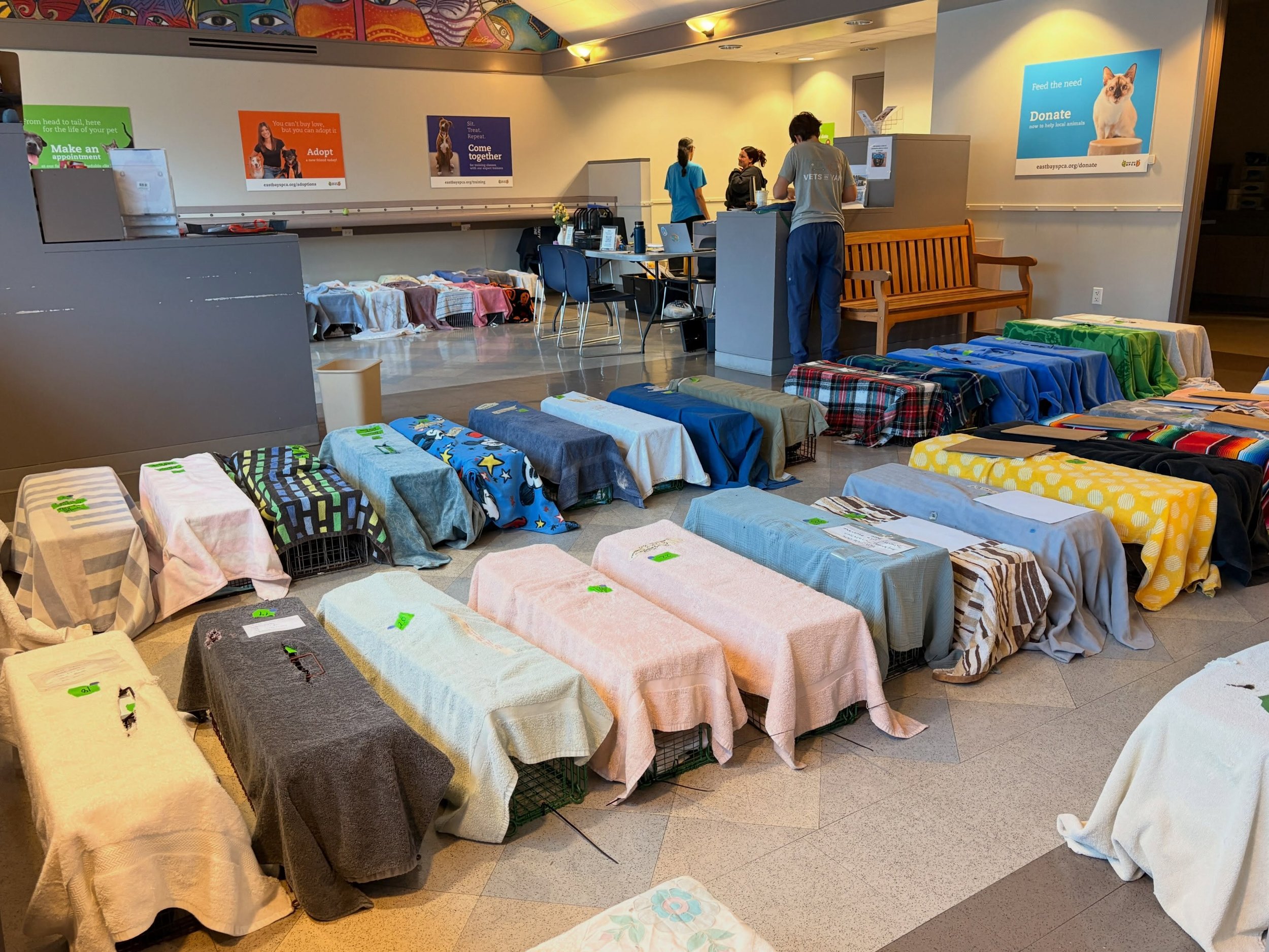 Full Circle Cats got a whopping 42 cats trapped and fixed during this weekend&rsquo;s big Champions for Pet Health event! In total there were 82 cats fixed at Sunday&rsquo;s clinic, thanks to our wonderful partners at @vetsinvans. 

Big thank you als