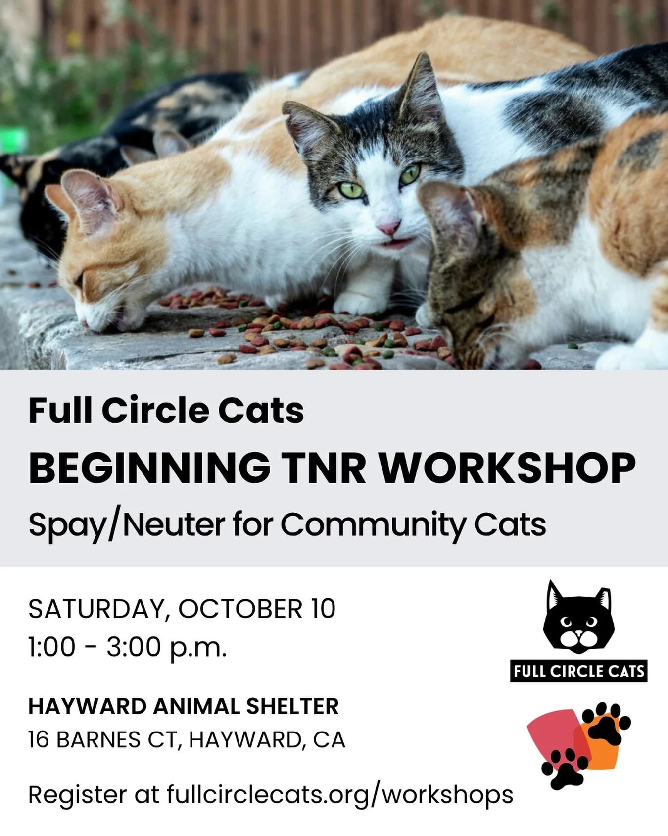 Join Full Circle Cats for our free, in-person workshop at the Hayward Animal Shelter this weekend! It&rsquo;s all about trap-neuter-return (TNR) and caring for the cats in our community. 

Saturday, October 10, 1:00 &ndash; 3:00 p.m.
Hayward Animal S