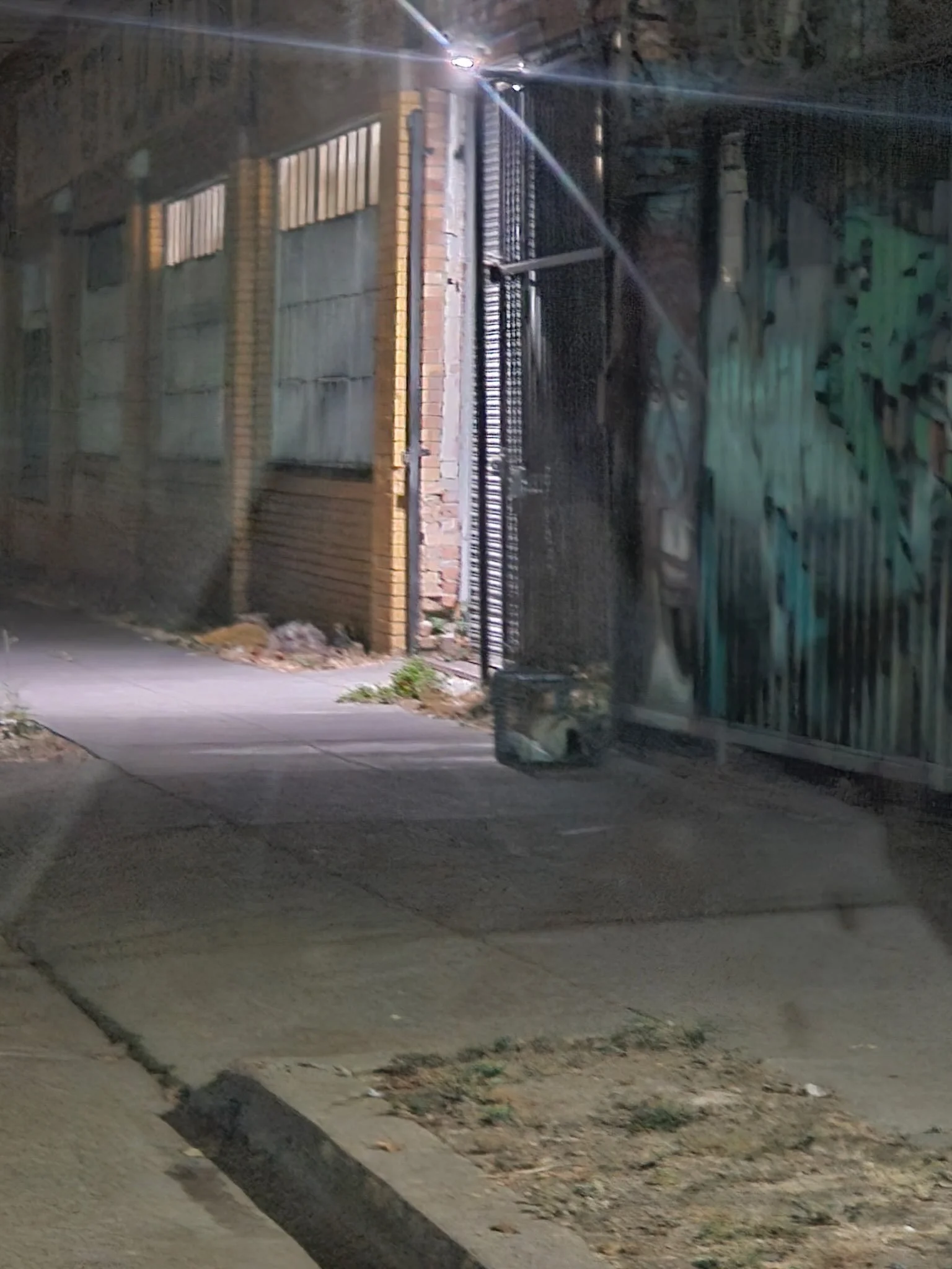 We often ask trappers to take photos, to show what it&rsquo;s like to be out there working in the community. But out on the street it can be dark, blurry, far away, and hard to predict when things will happen, all while trying to manage equipment, ne