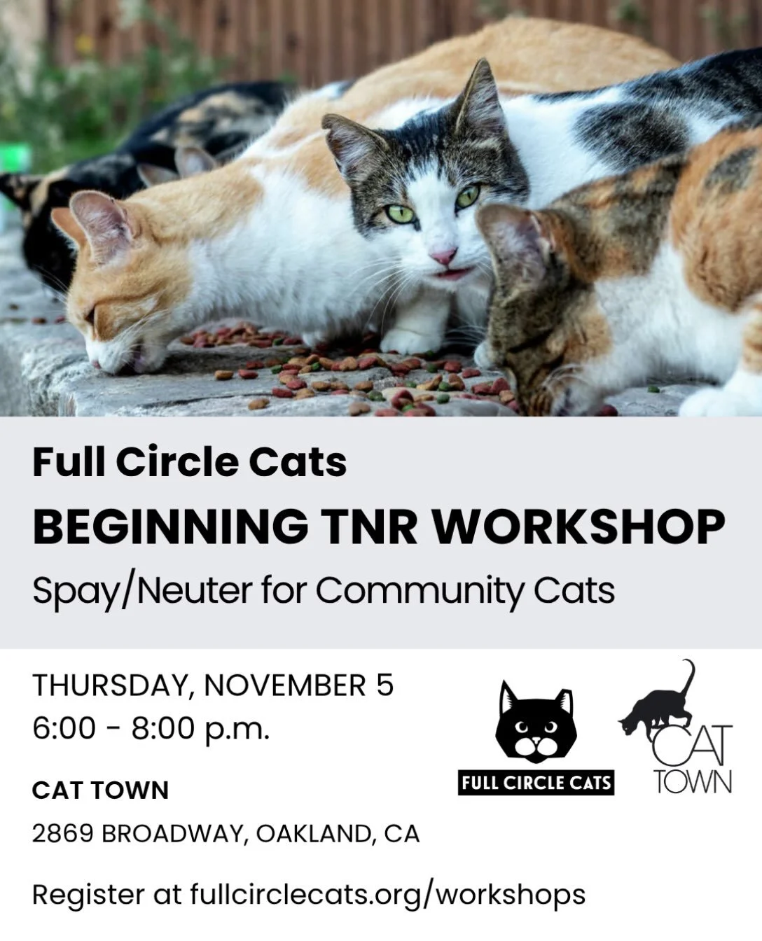 Join Full Circle Cats for our free, in-person workshop at the @cattownoak! It&rsquo;s all about trap-neuter-return (TNR) and caring for the cats in our community. 

Thursday, November 5, 6:00 &ndash; 8:00 p.m.
Cat Town, 2869 Broadway, Oakland, CA

Th