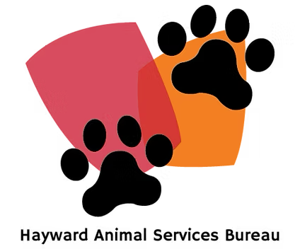 Hayward Animal Shelter