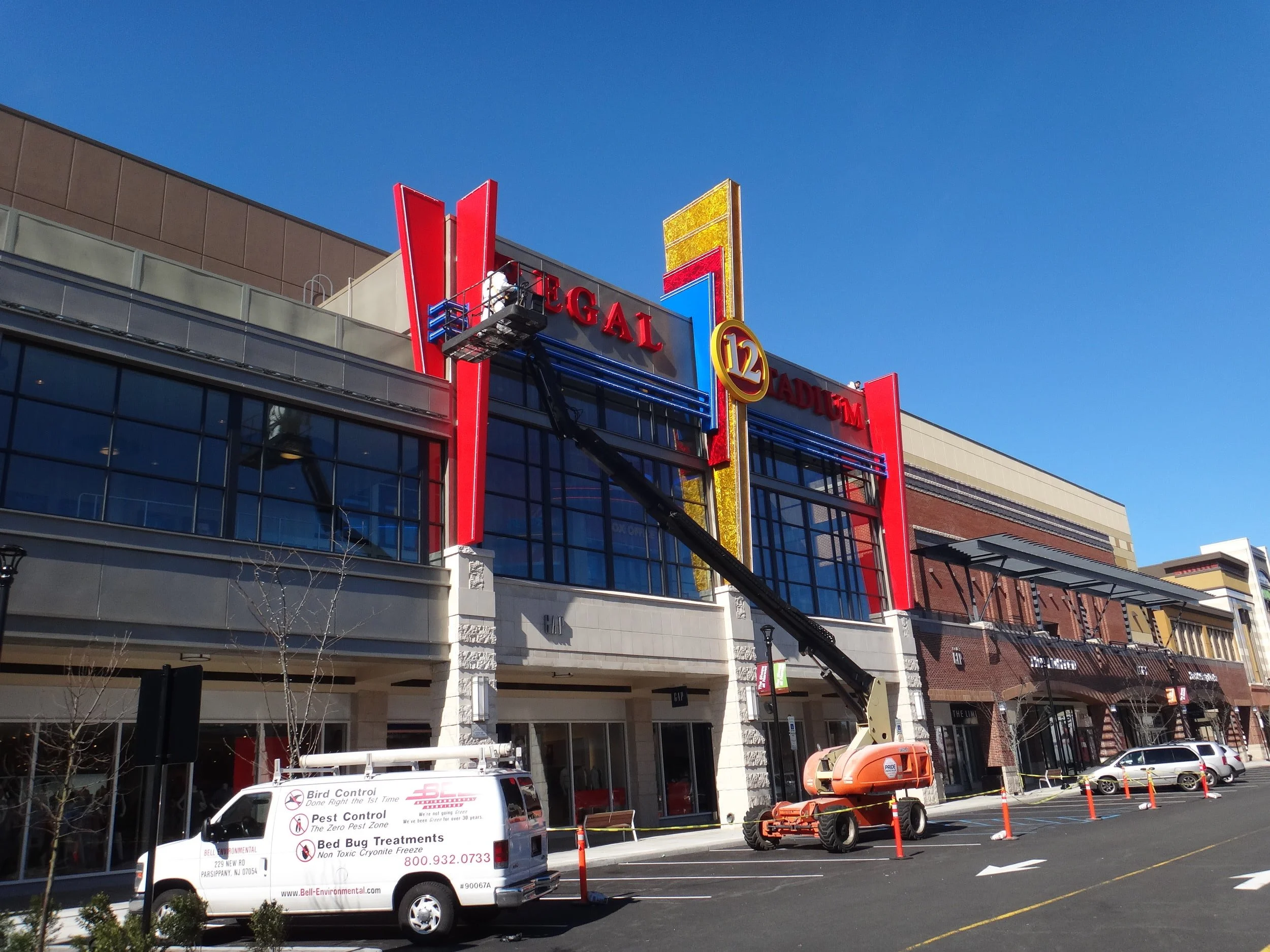 Our Experience Bell Bird Control Guaranteed Expert Bird Control